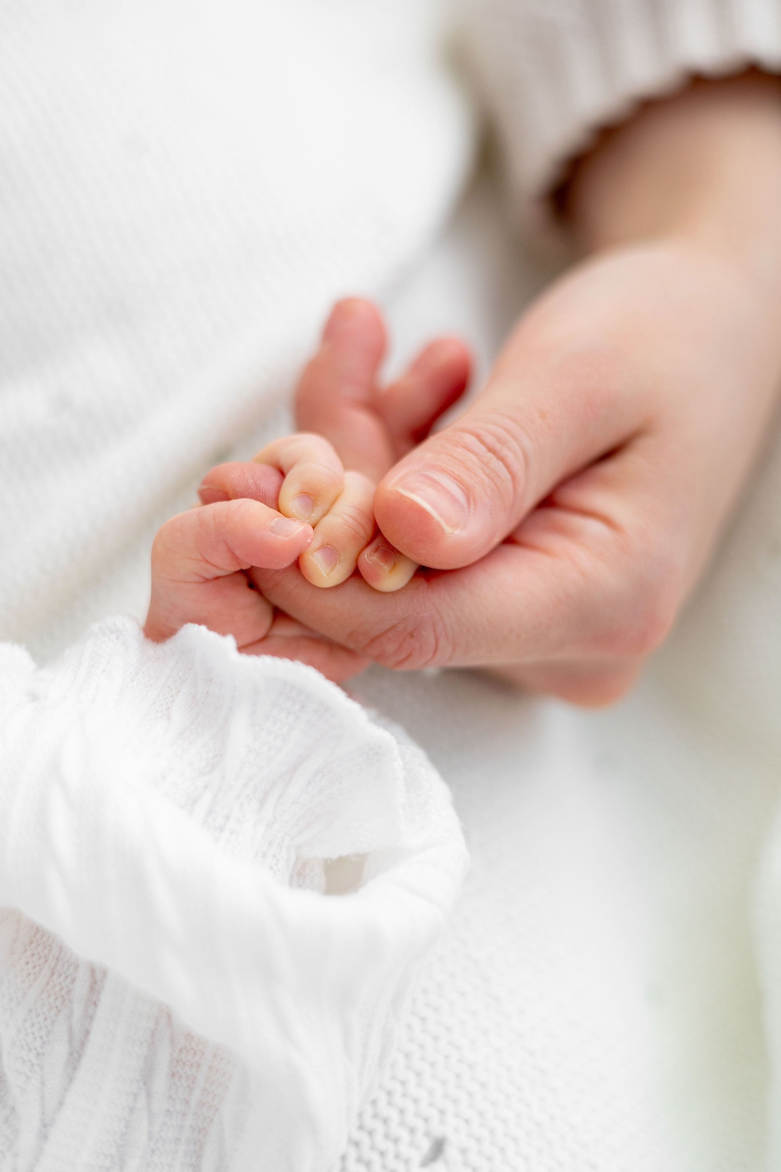 Цены. Фотограф беременности и материнства в Армавире Саломатина Полина