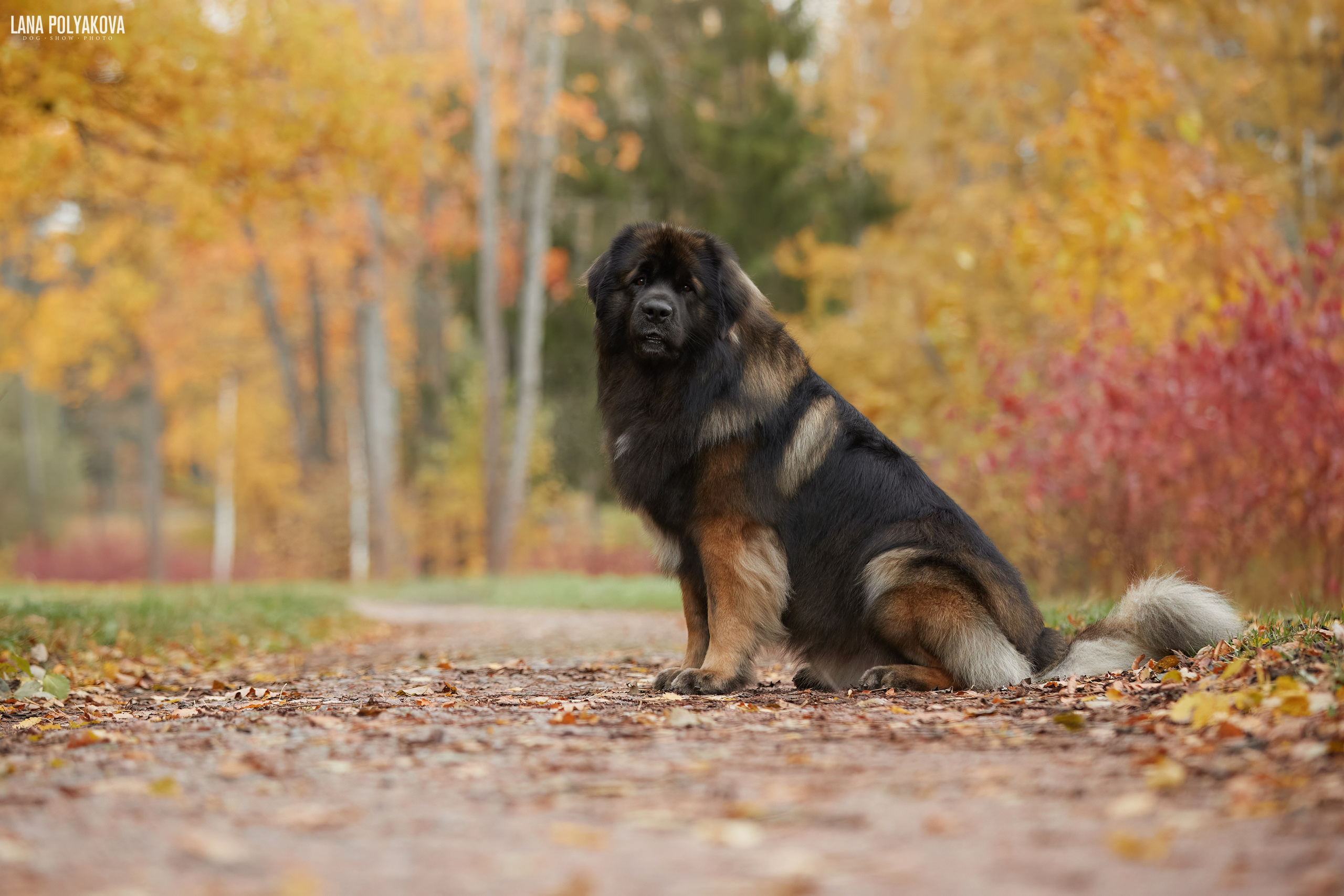 Лернбергеры на прогулке в Санкт-Петербурге