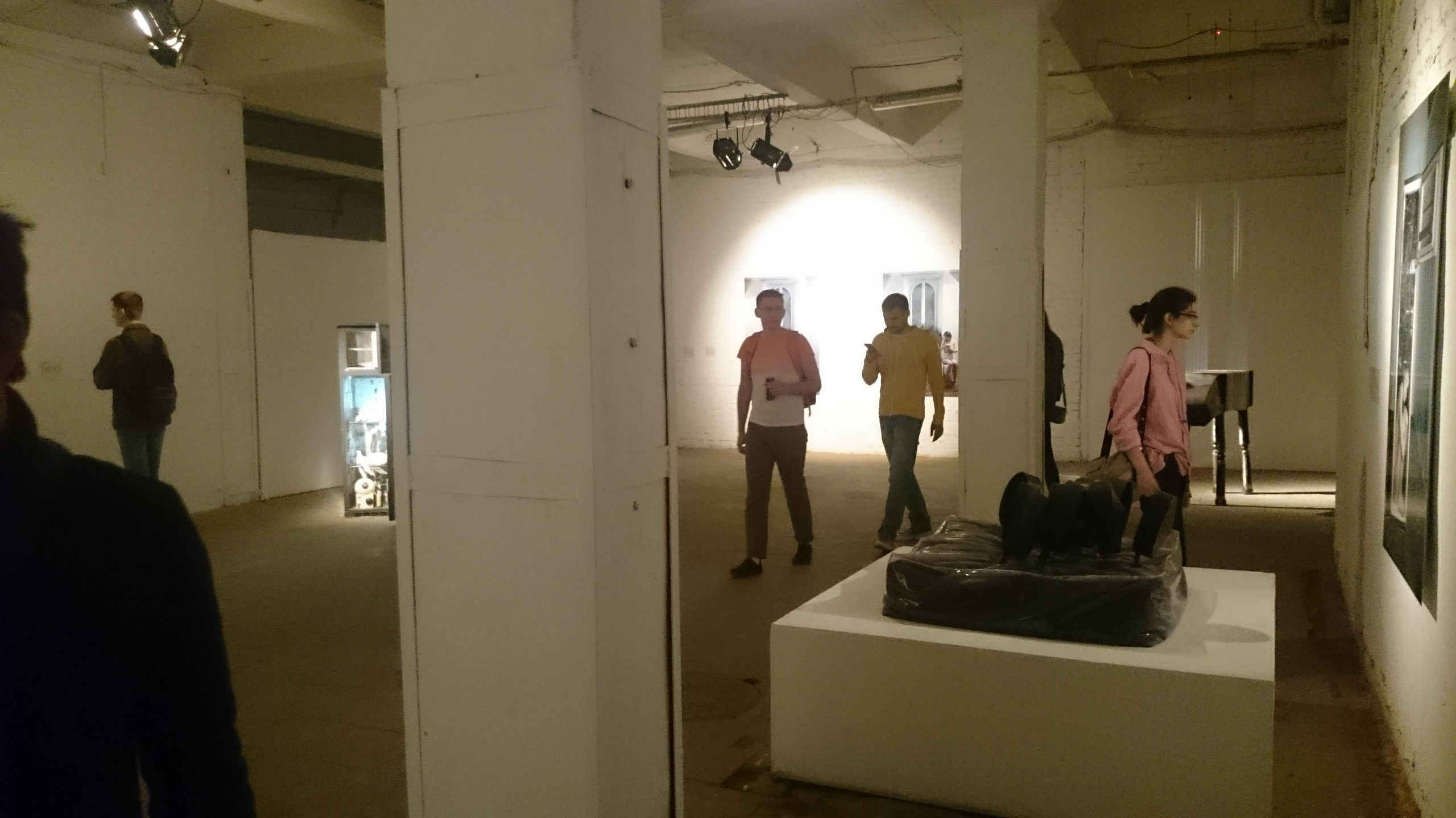 STEM OF THE BLACK GRASS. Ilmira Bolotyan — Interdisciplinary Artist and Curator