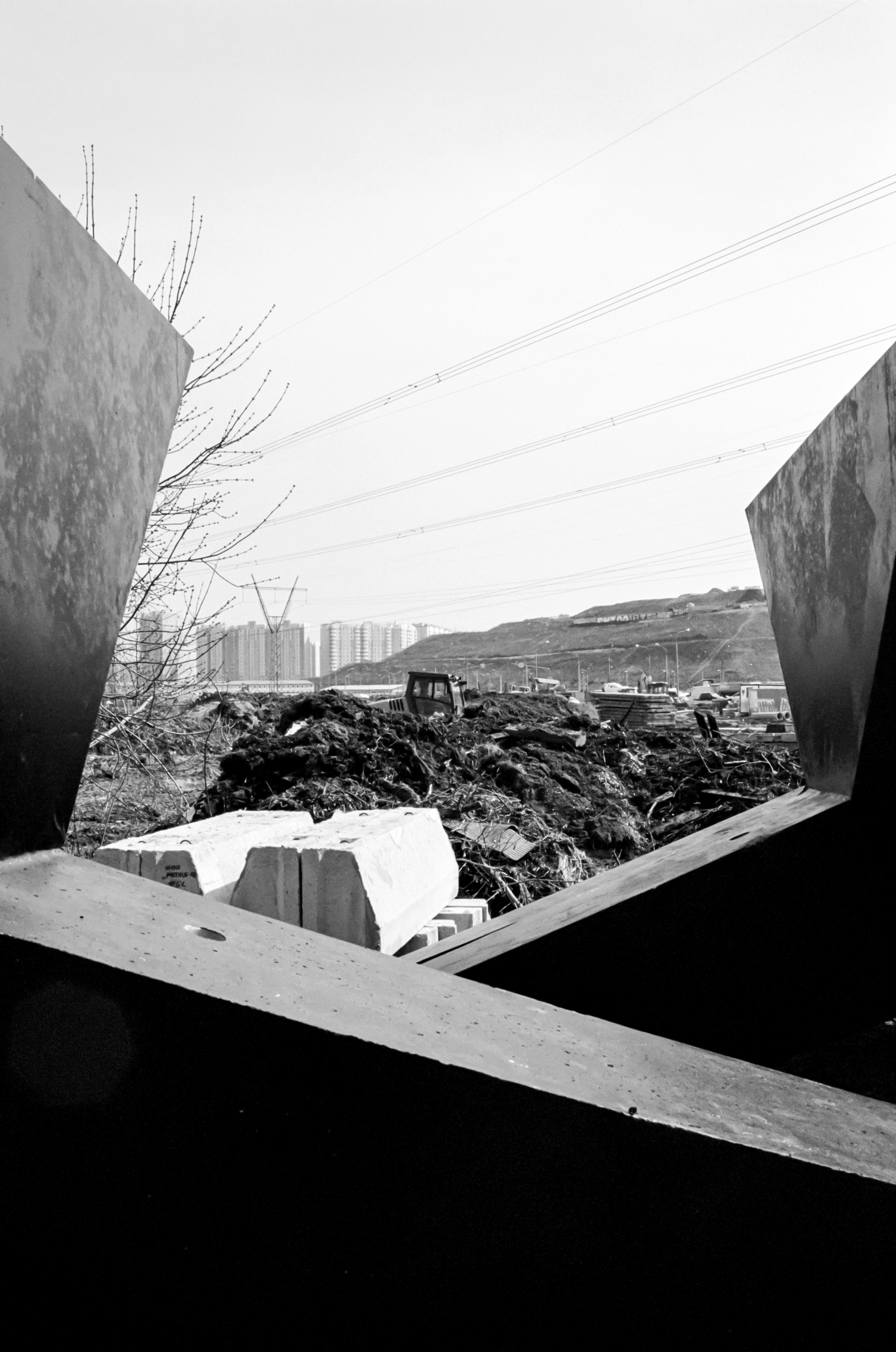 Future Perspectives (2020-2022). Вероника Трубникова — фотохудожница / Veronika Trubnikova — photoartist