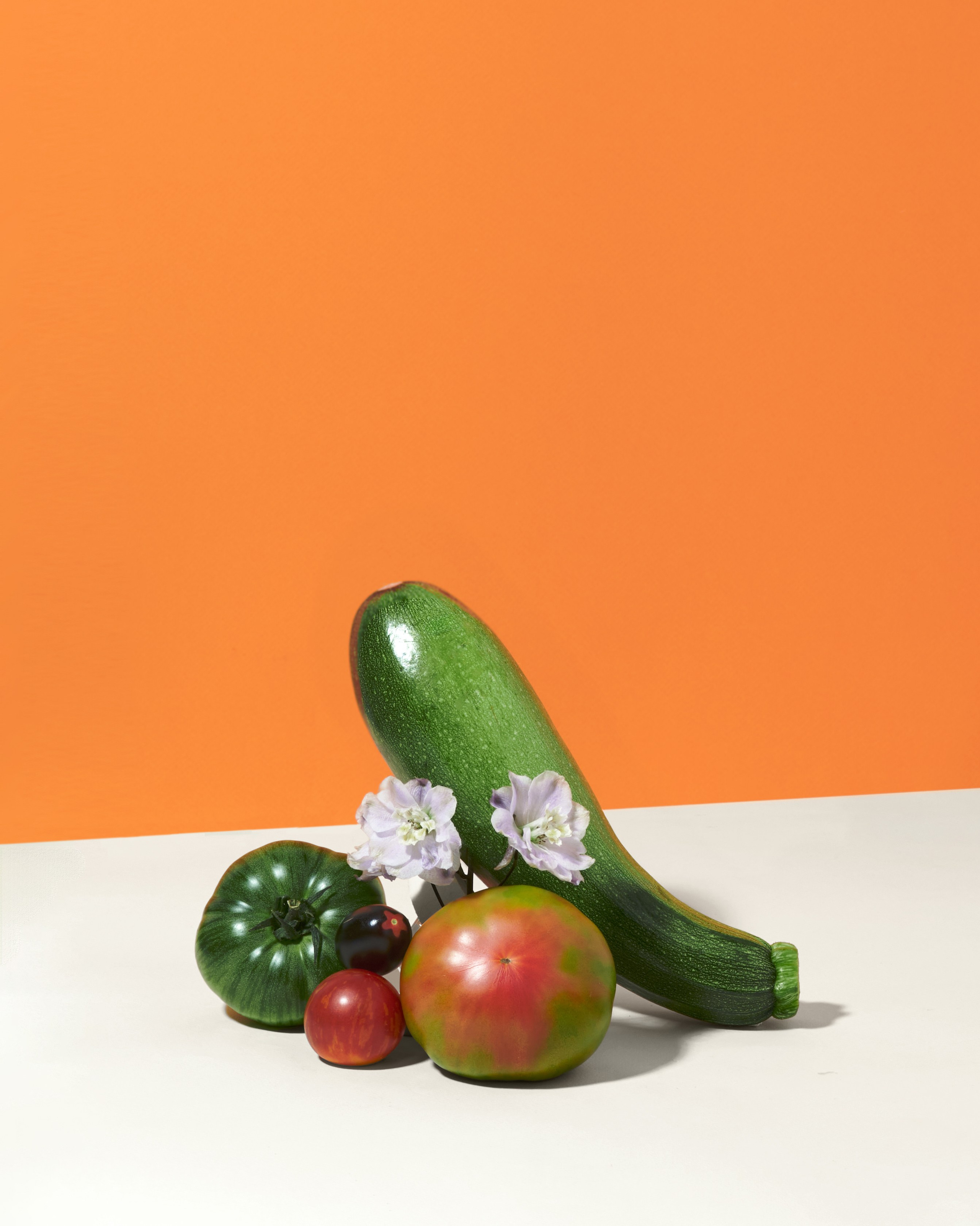 Предметный фотограф | Санкт-Петербург | Кристи Хареба