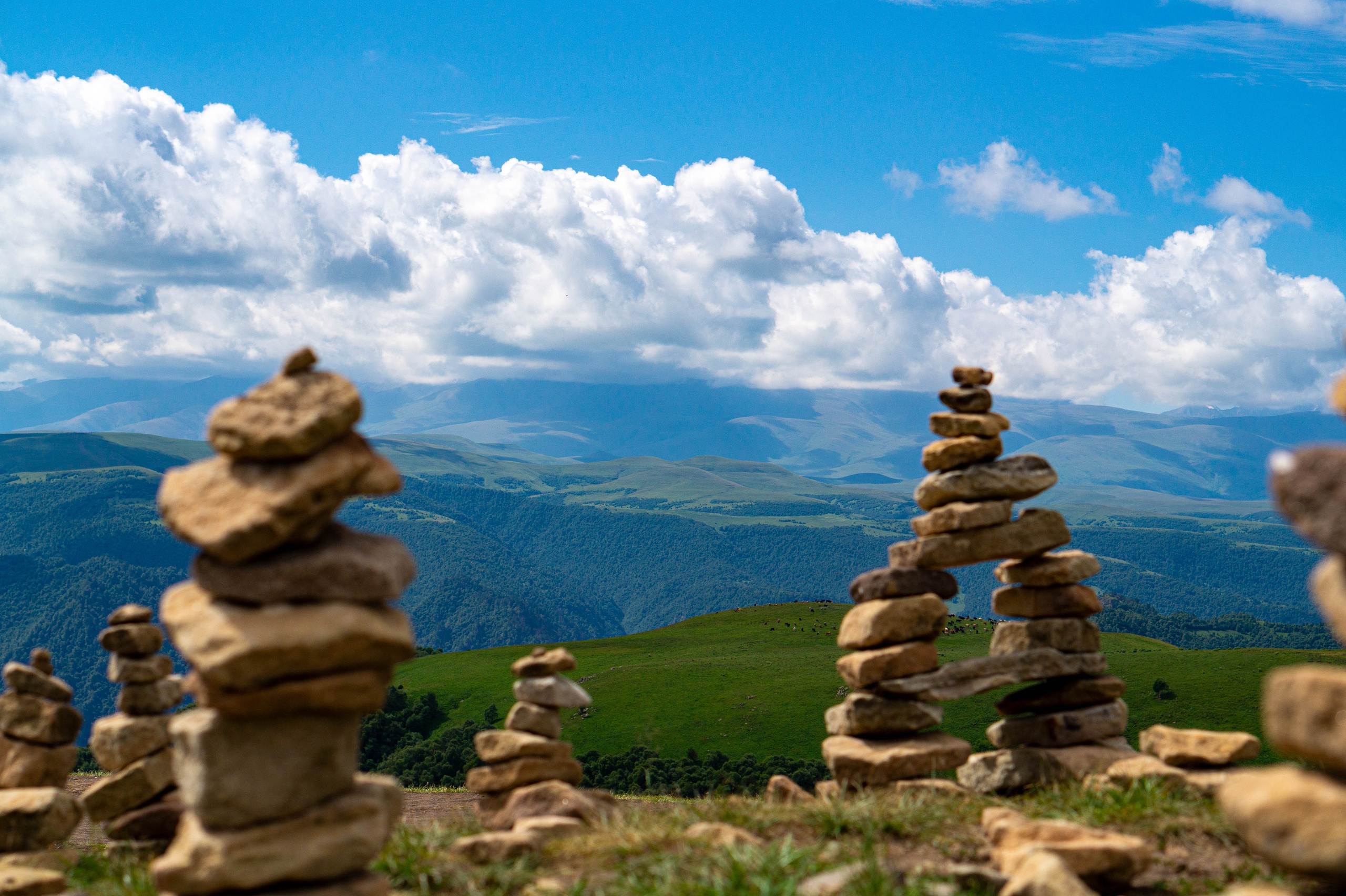 Не_Фотограф