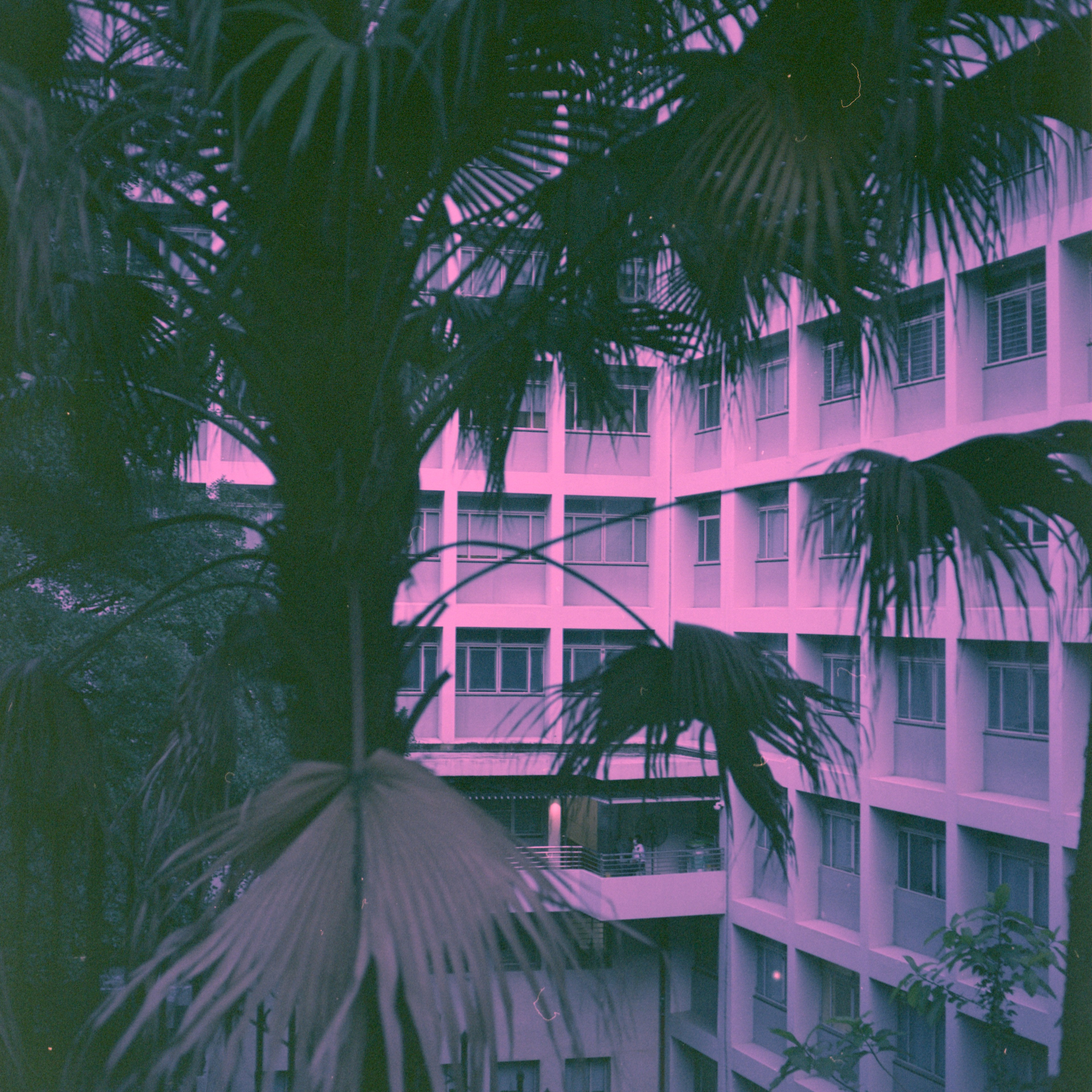 SEEKING SHADOWS — COLOR. Aleksandr Nariadchikov — Visual Artist & Game Designer