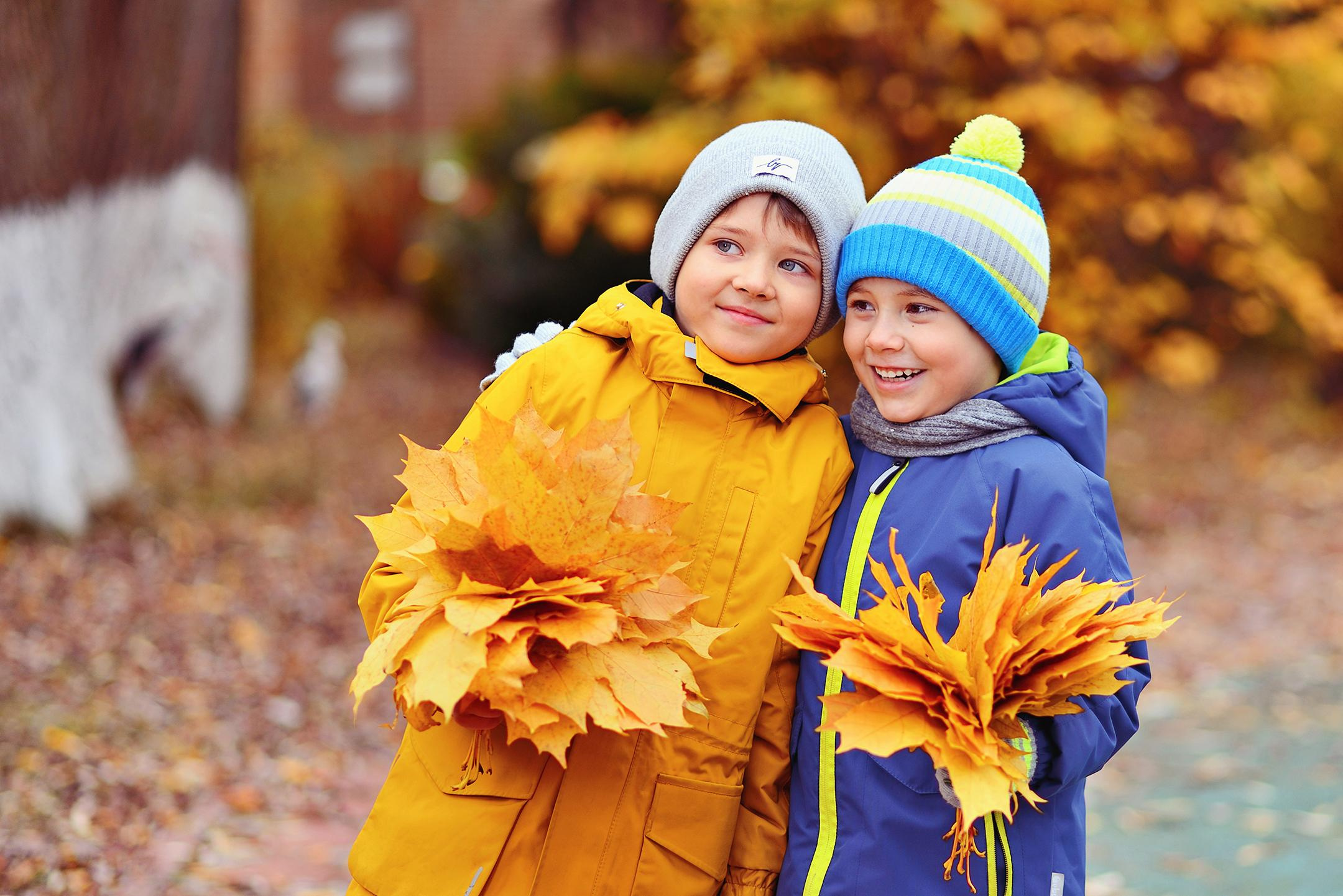 Двое мальчиков на осенней прогулке в детском саду держат букеты из листьев и смотрят вдаль.