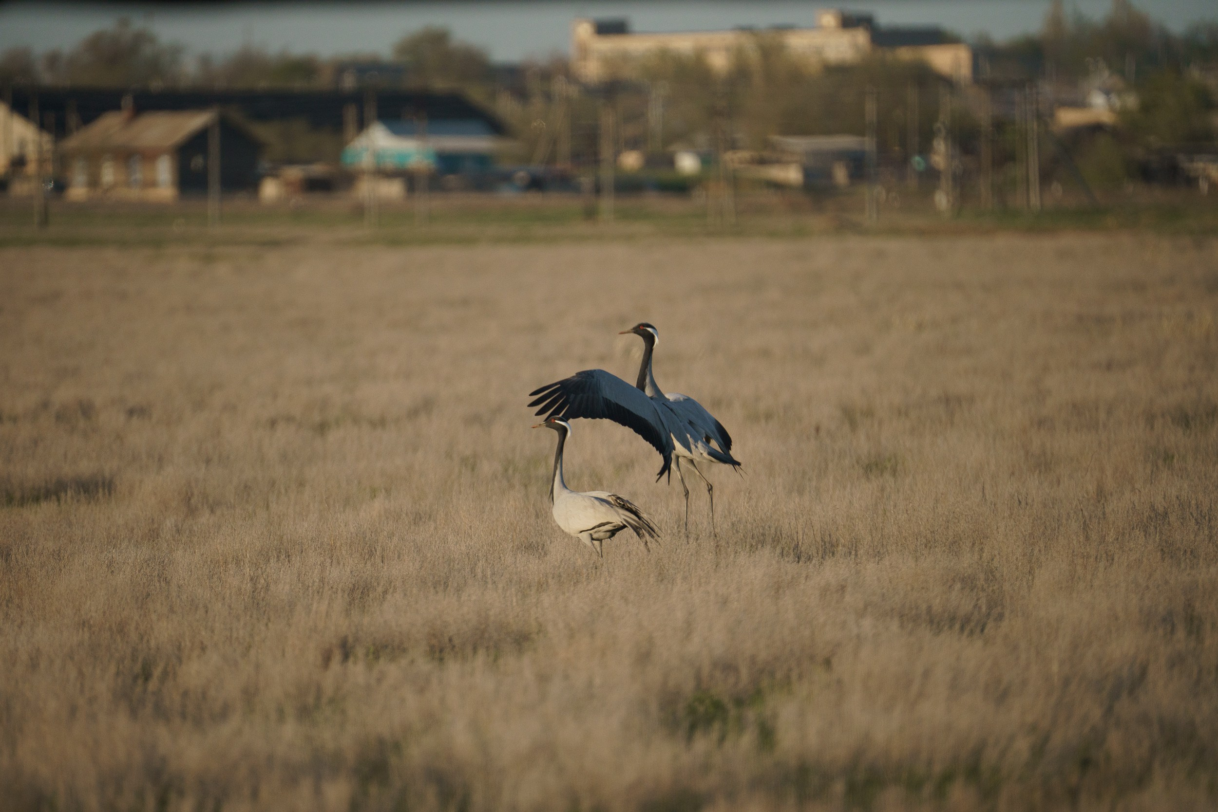 Учебный фототур на Эльтон. Июнь