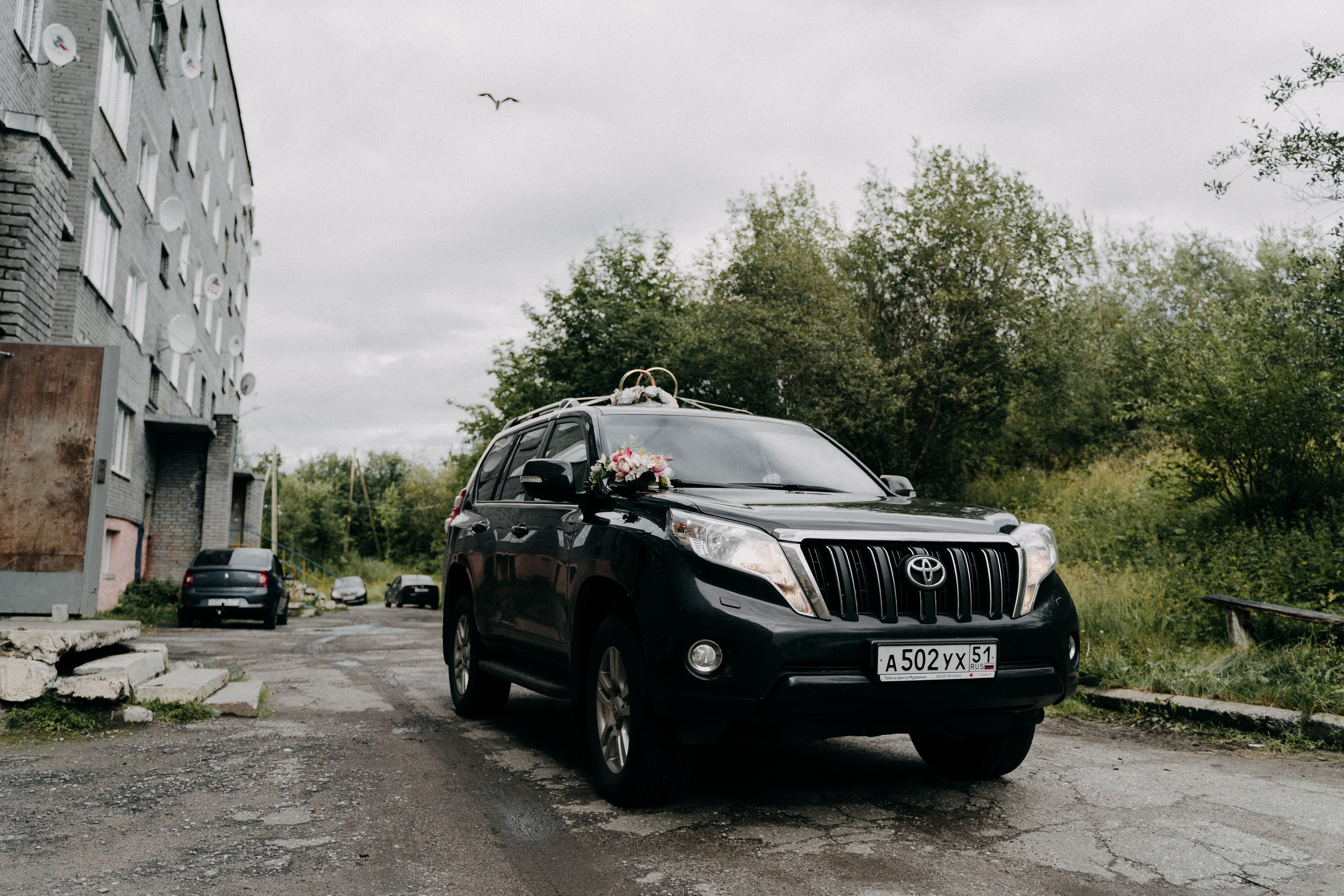 Свадьба Михаила и Юлии в Мурманске. Фотограф в Мурманске, Североморске и Санкт-Петербурге Валерия Козлова