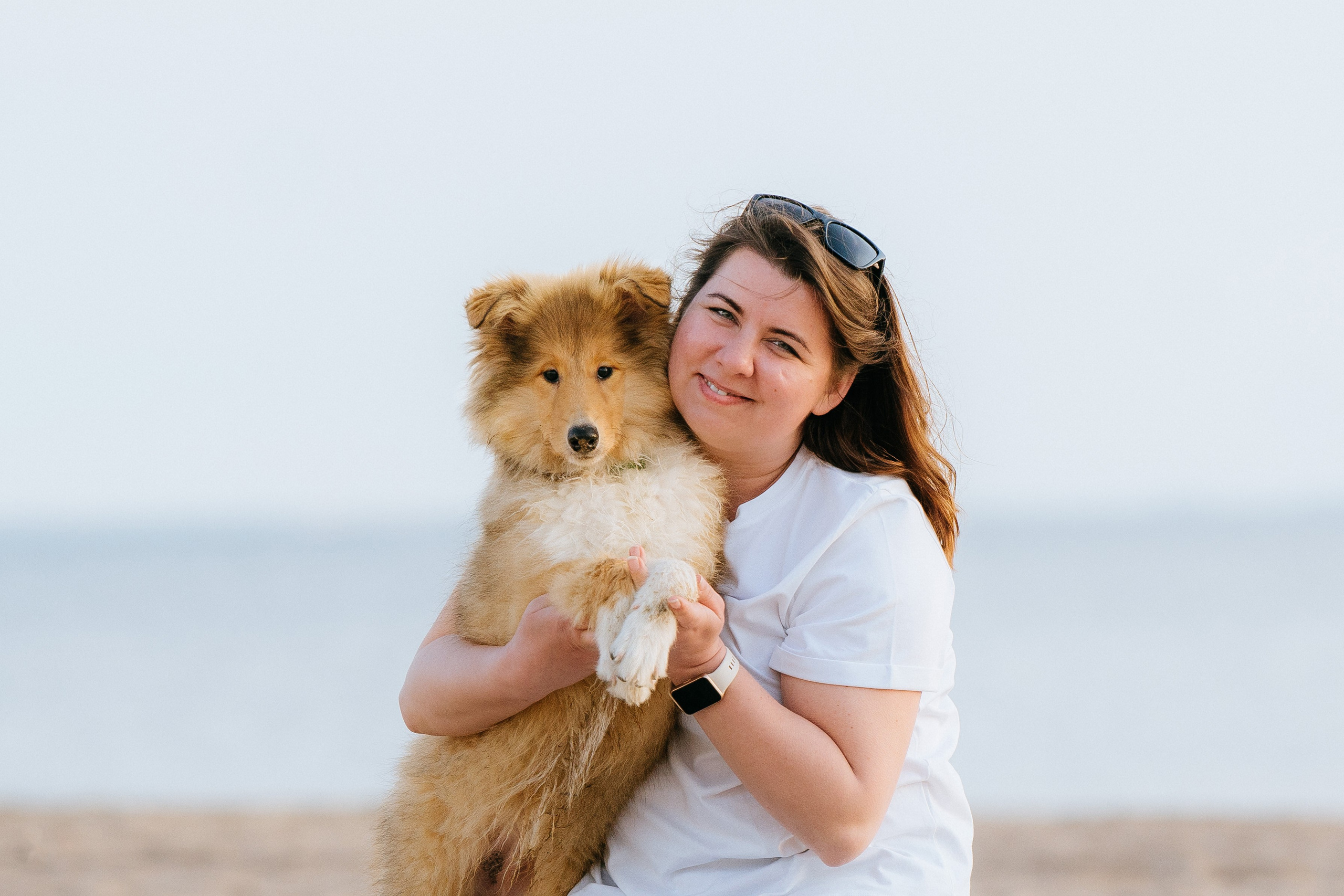Фотосессия со щенками колли. Фотограф анималист в Спб недорого Олеся Майорова