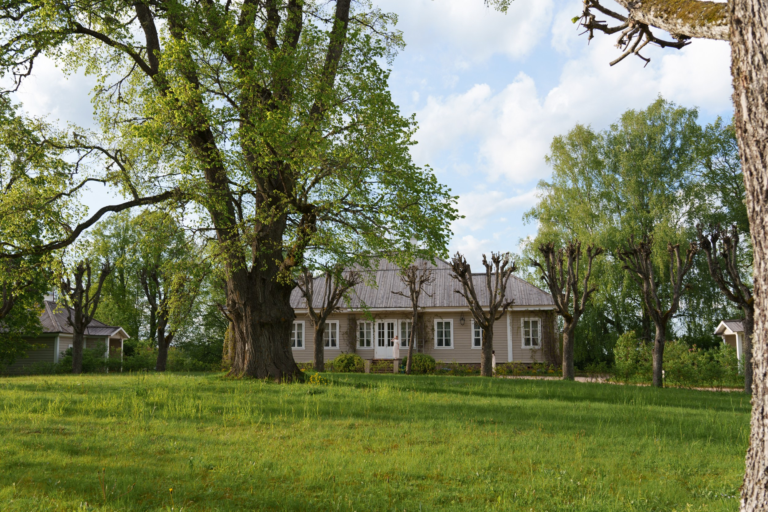 Landscape of the Pushkin Museum-Reserve in Mikhailovsky