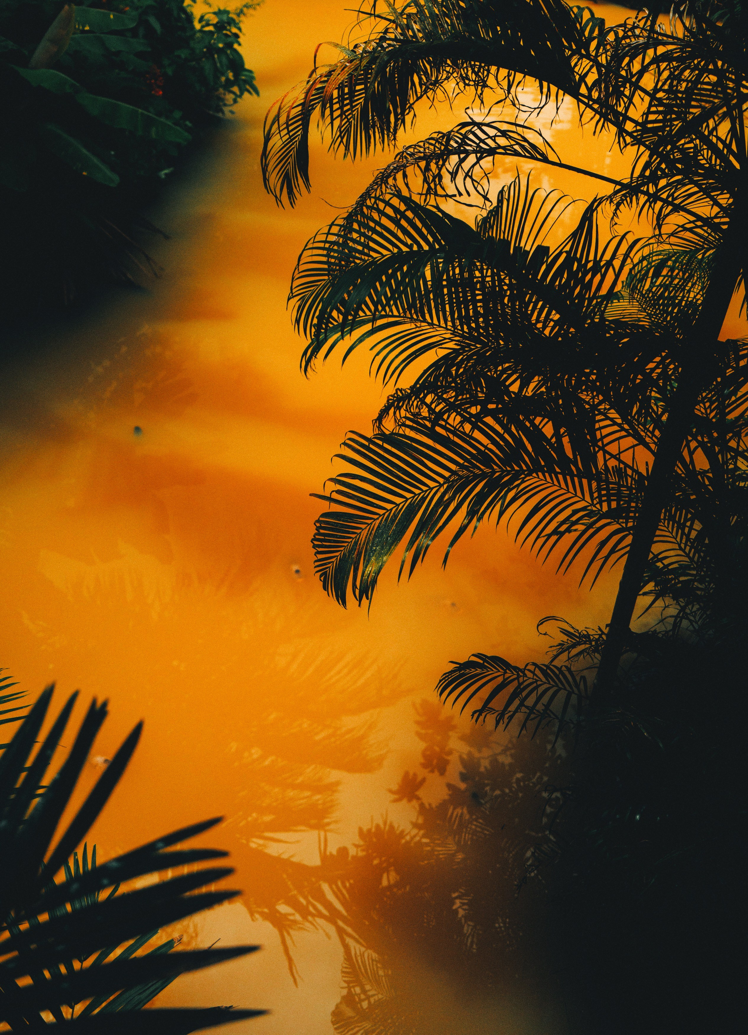 AUTHENTIC FILM. Visual artist Daniil Kontorovich