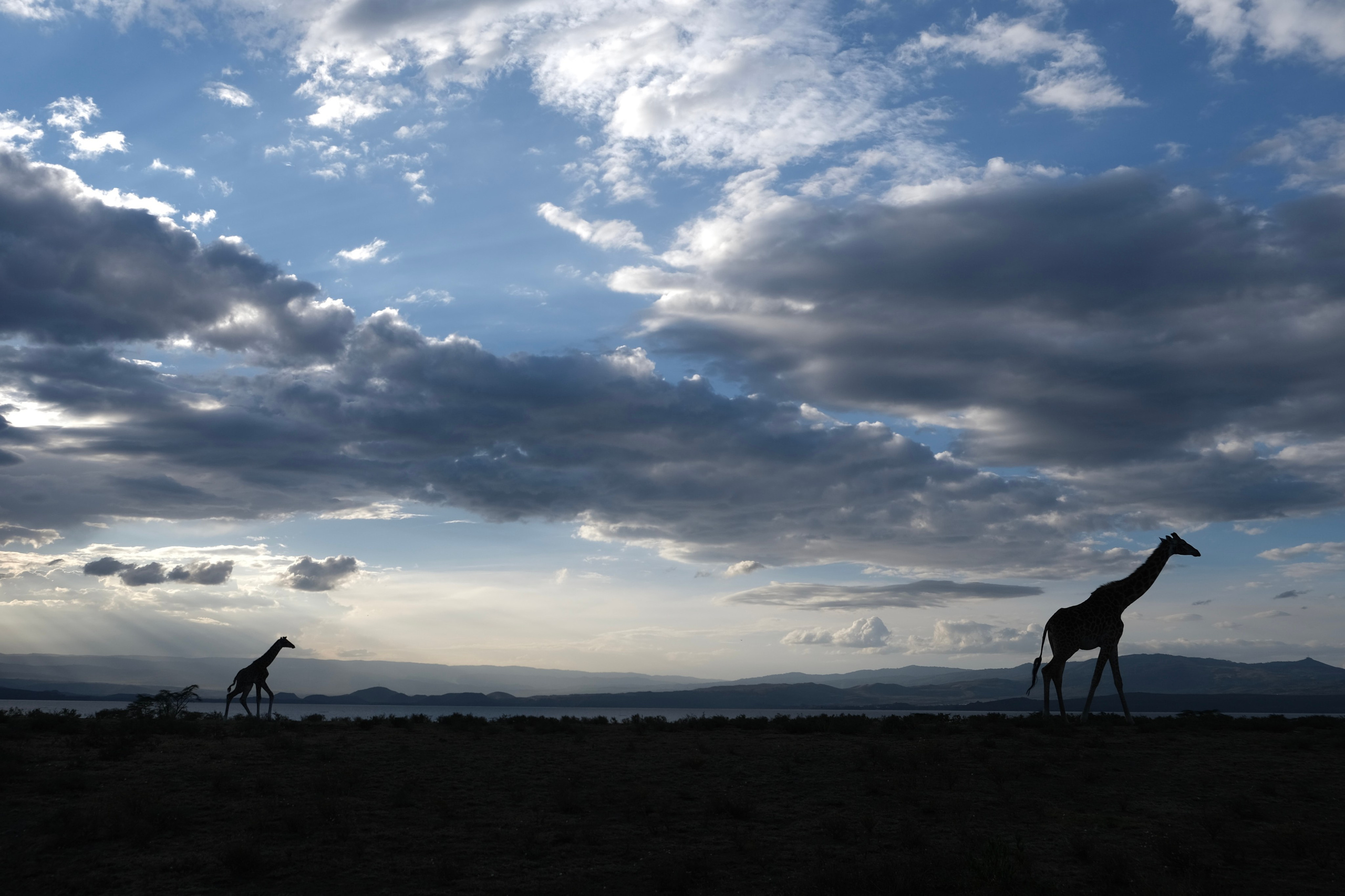Nataresso | фотограф Москва