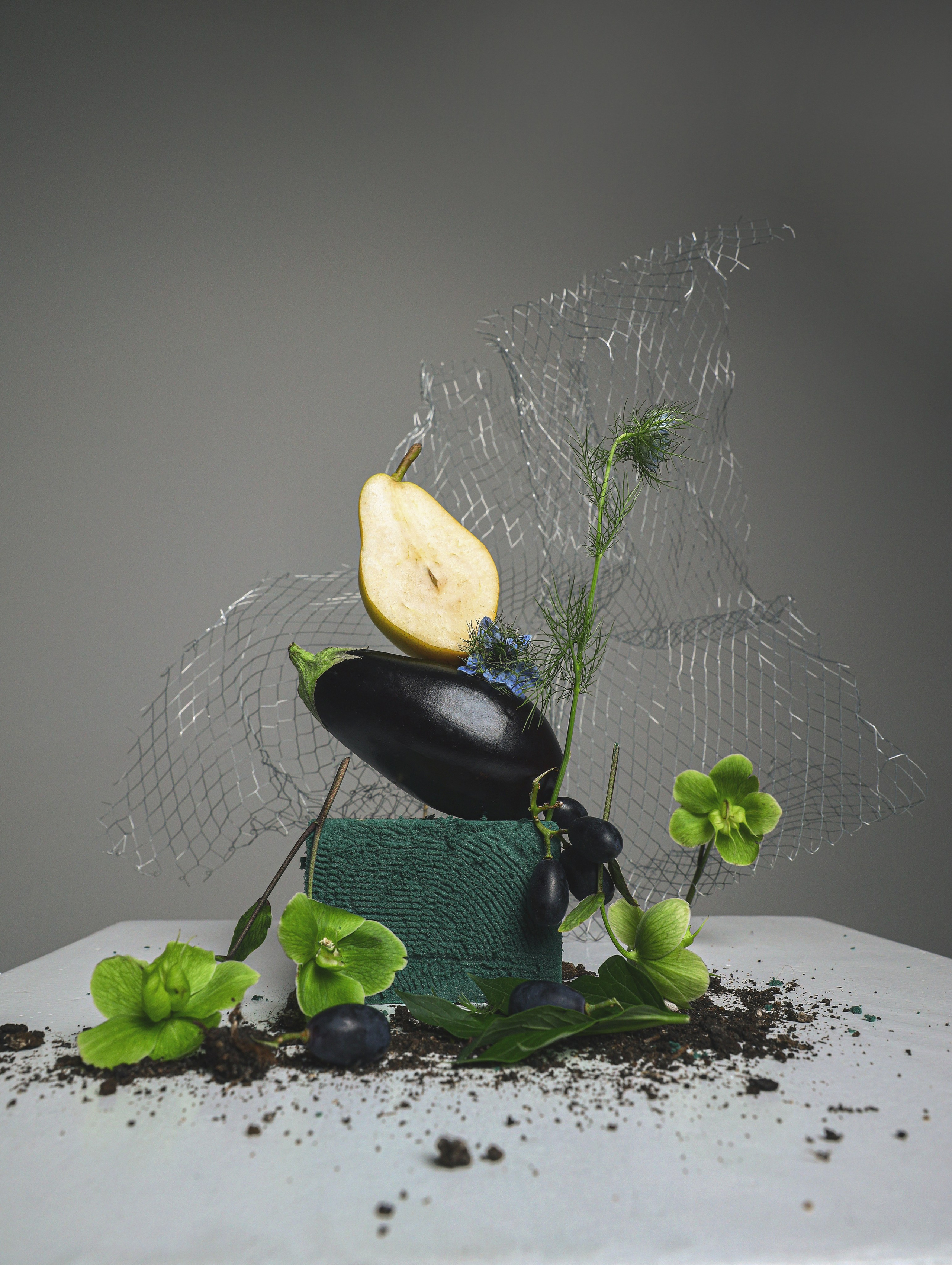 Фотограф Елена Пилиева