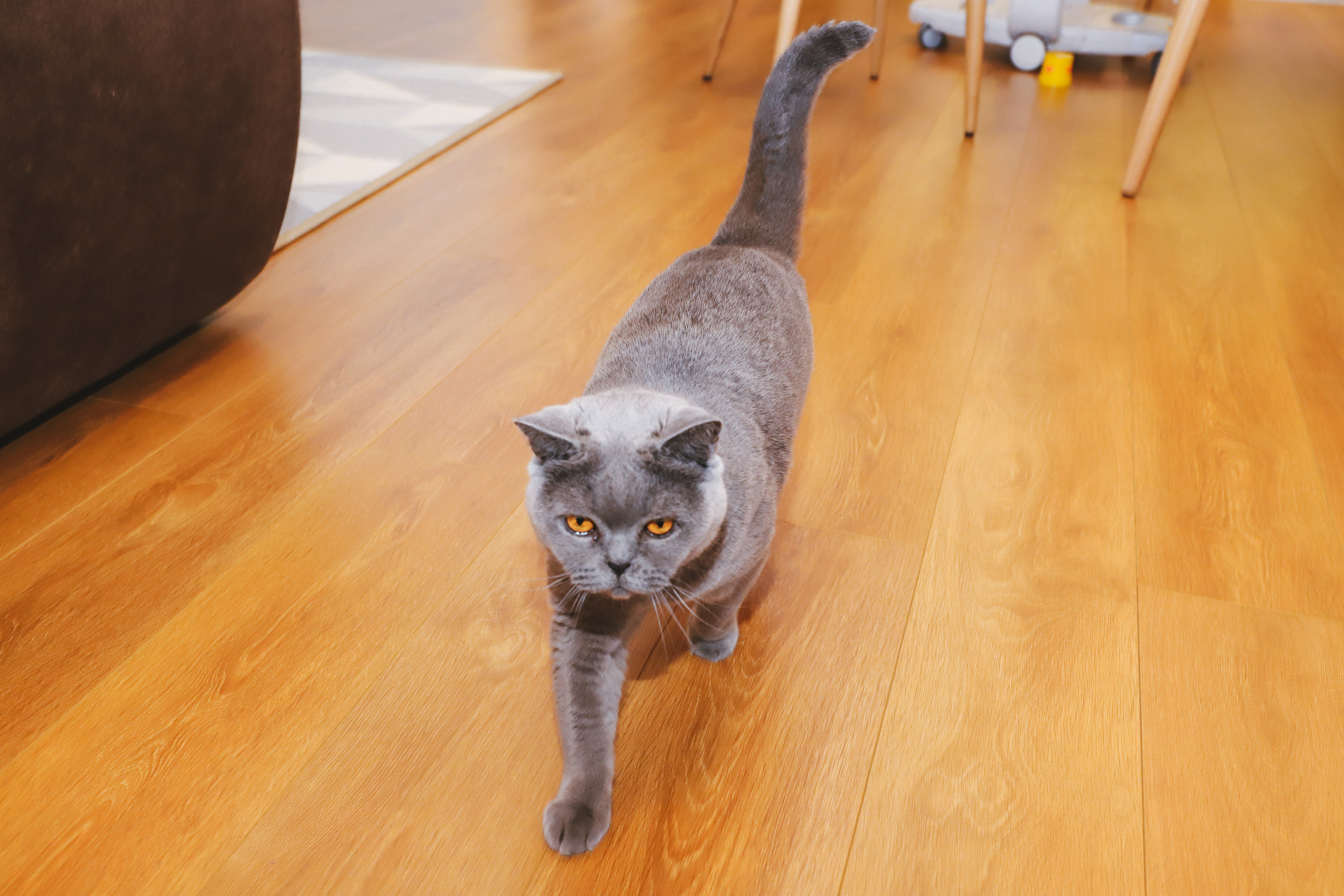 Домашняя фотосъемка Сергея, Елены и их прекрасных детей. Фотограф в Санкт-Петербурге Наталья Брилькова