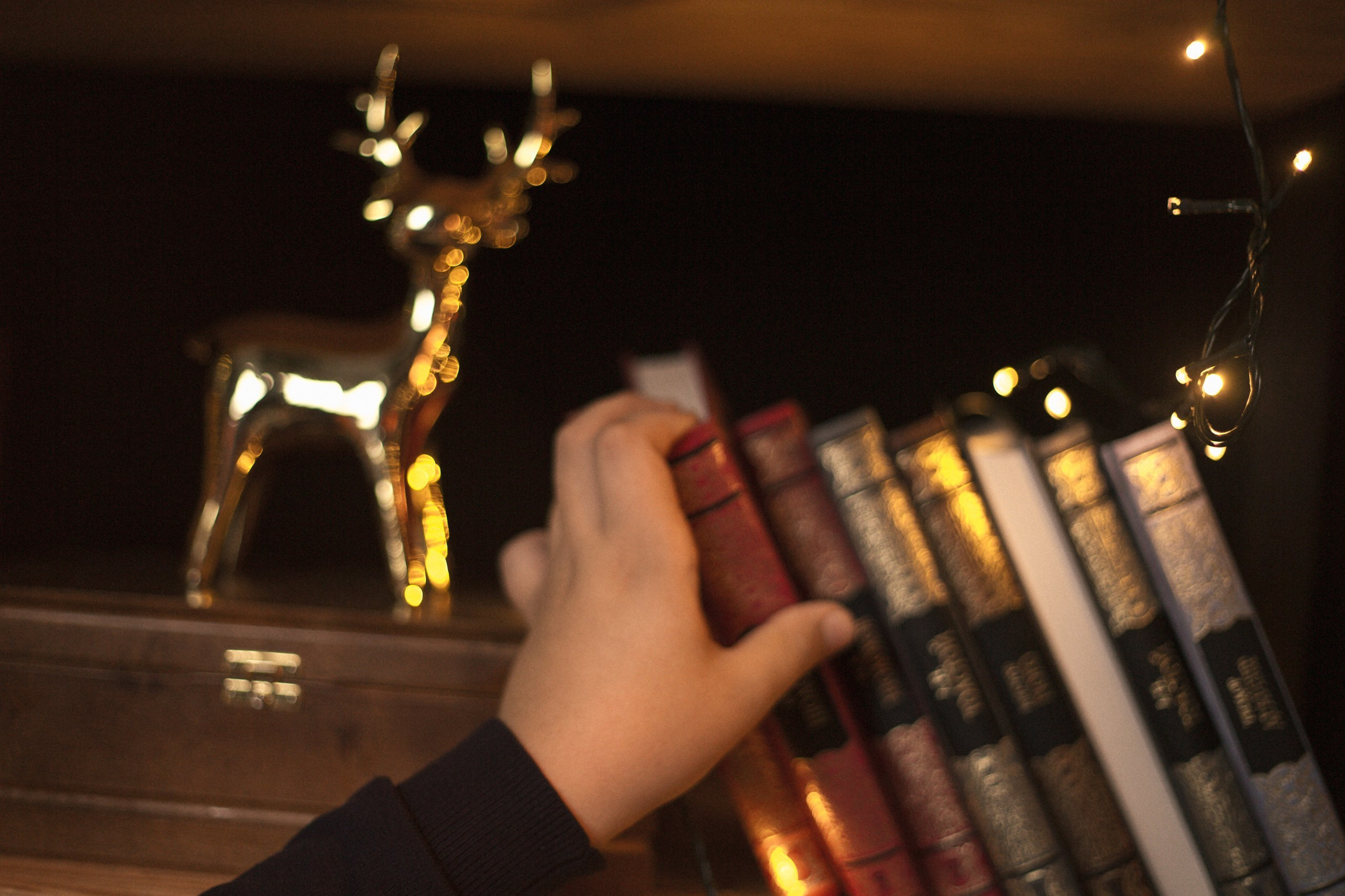 Новогодние. Арт-фотограф Крис Л. в Тобольске: портрет, семейные, свадьбы