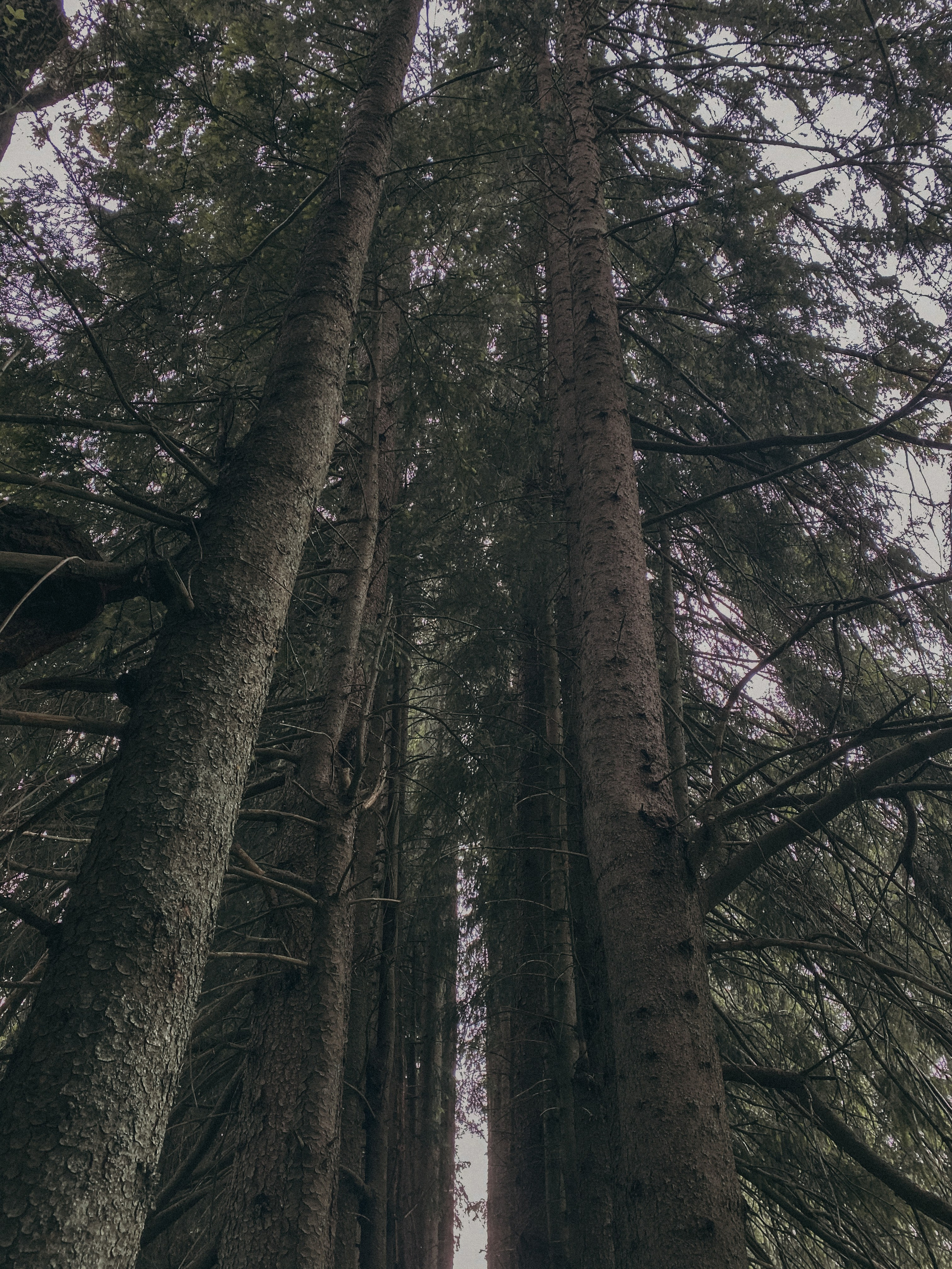 Фототур в Сортавала