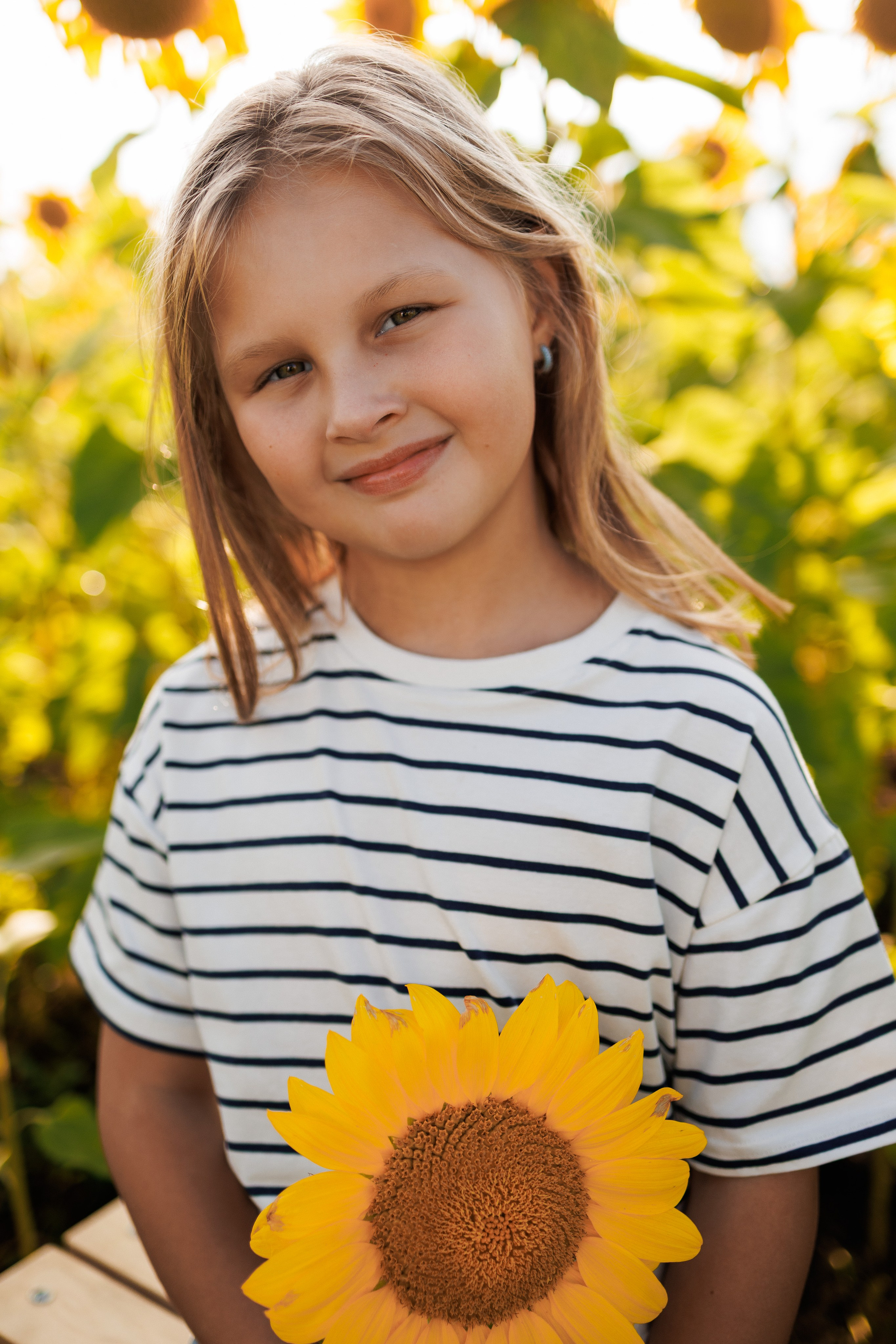 В поле подсолнухов. Семейный фотограф г. Тюмень