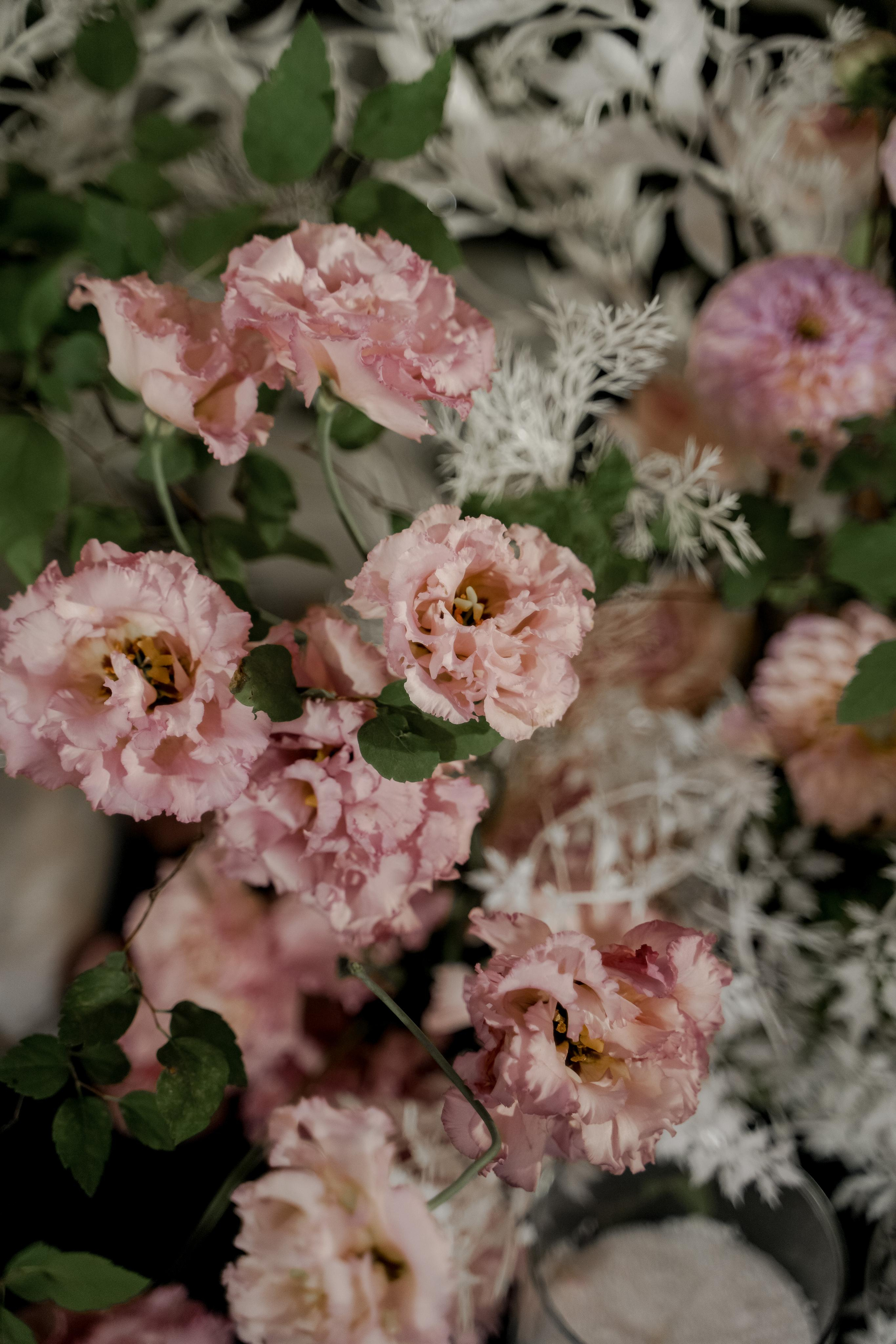 Зинаида и Иван. Свадебный фотограф Марина Попова