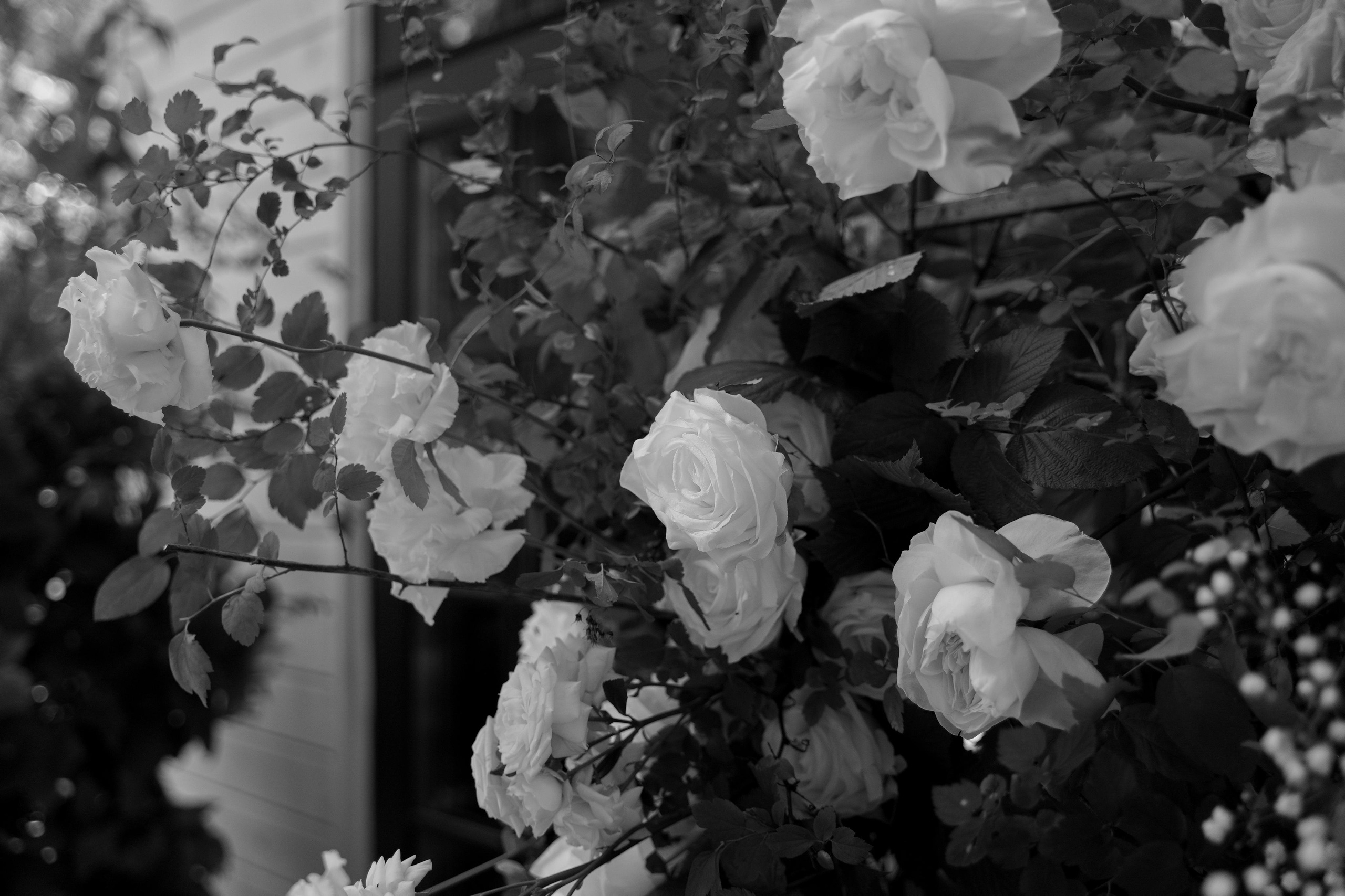 Зинаида и Иван. Свадебный фотограф Марина Попова