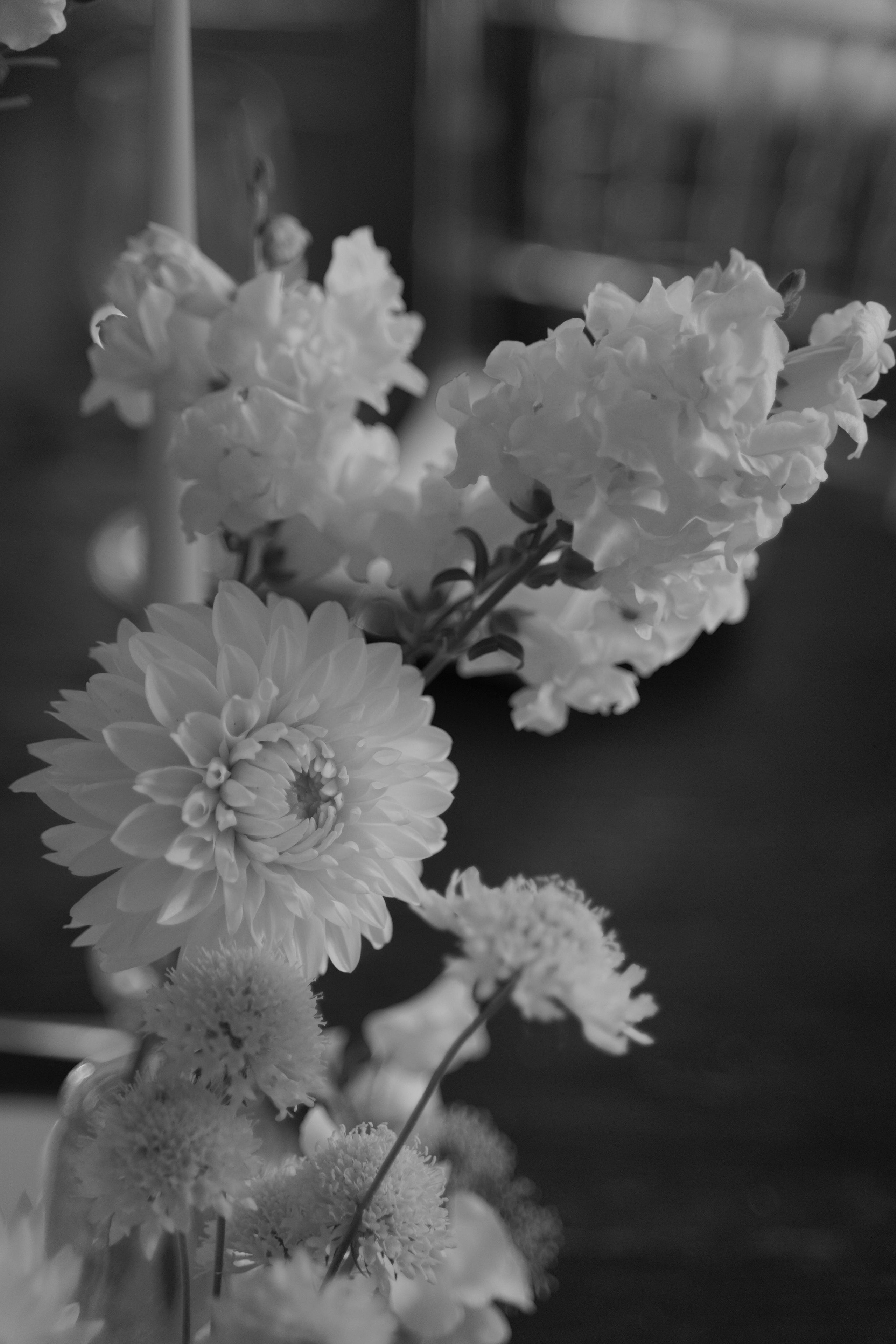 Кристина и Максим. Свадебный фотограф Марина Попова