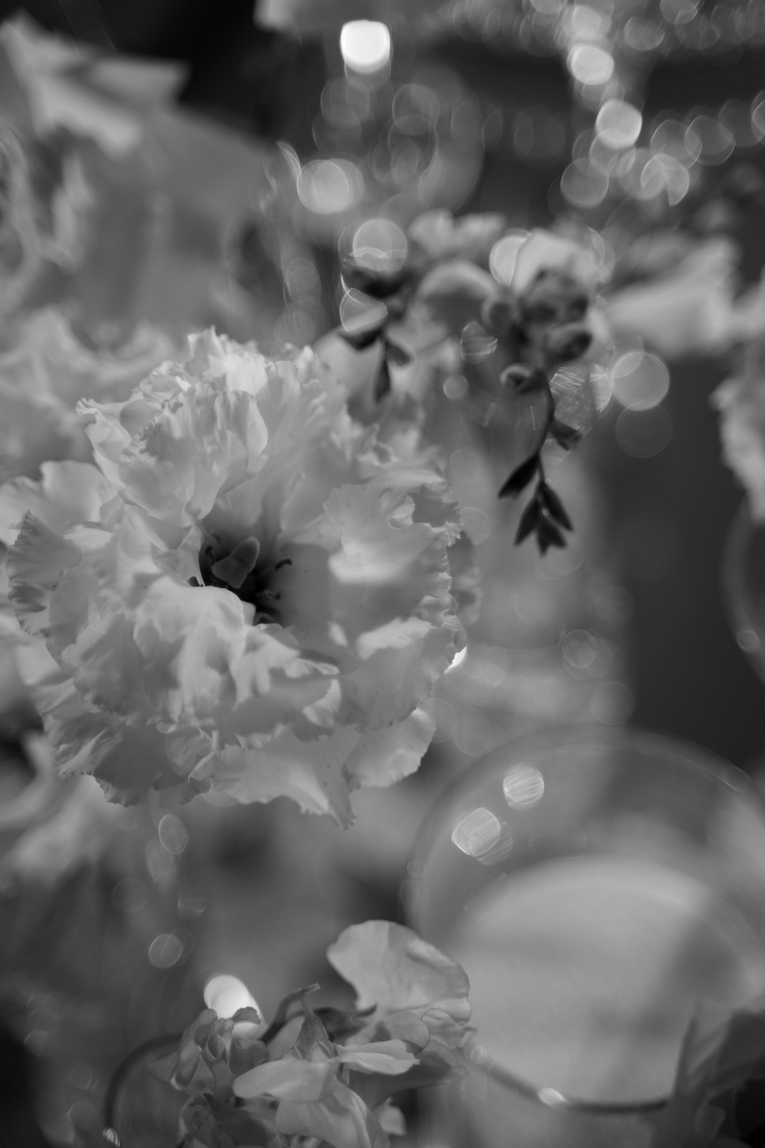 Зинаида и Иван. Свадебный фотограф Марина Попова