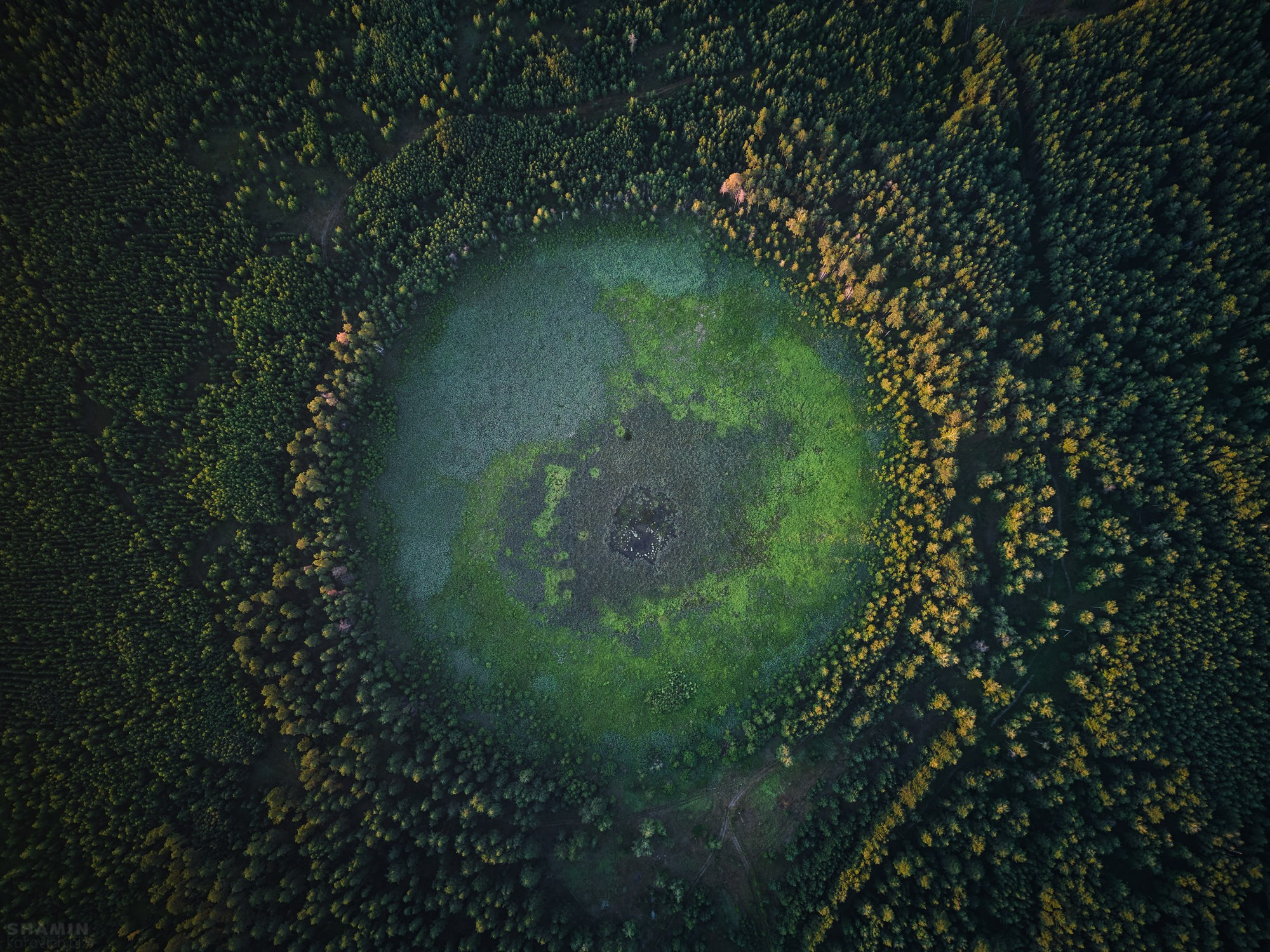 Проект 365. Фотограф Константин Шамин