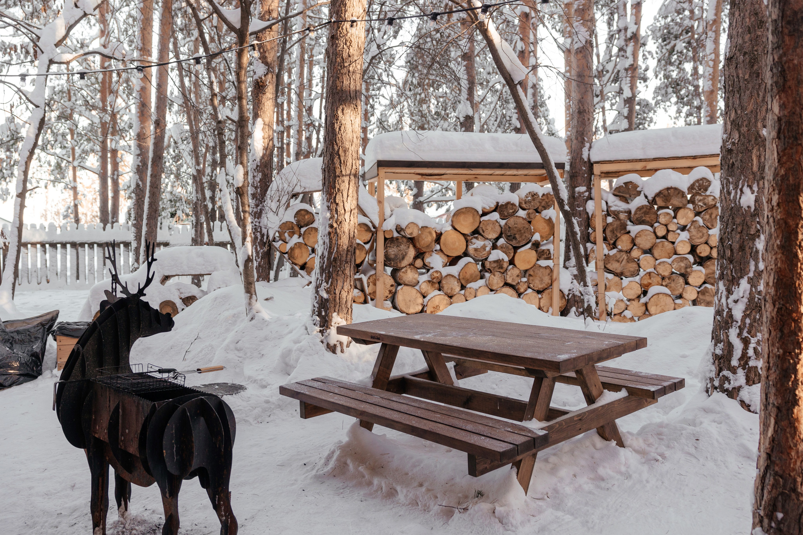 Дверь в лес. Фотограф для бизнеса Константин Брусницын в Екатеринбурге