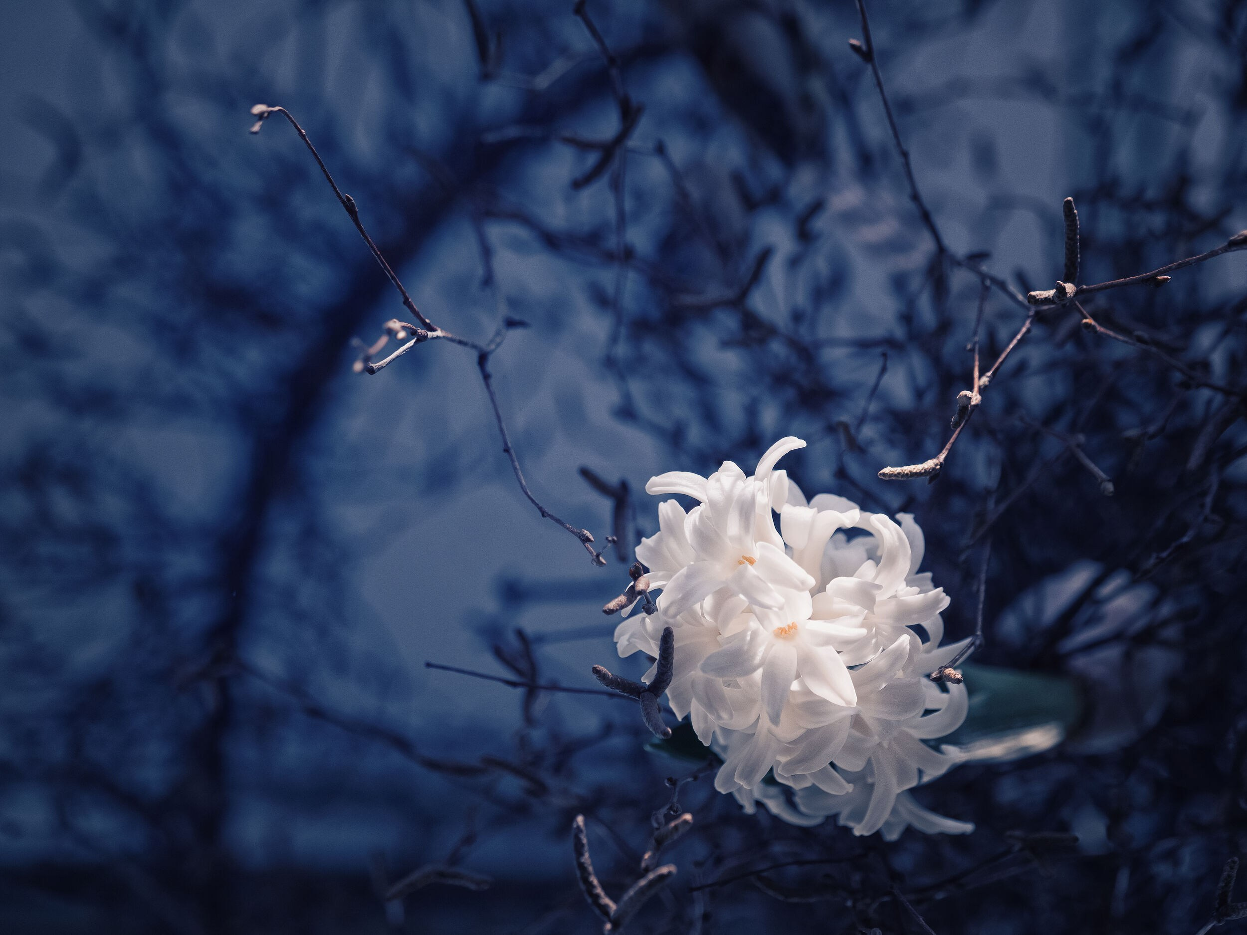 Елена Гонтаренко — художественный портрет. Фотограф в России, Семейный фотограф, репортажный фотограф, детский фотограф, портретный фотограф, контент фотограф, универсальный фотограф