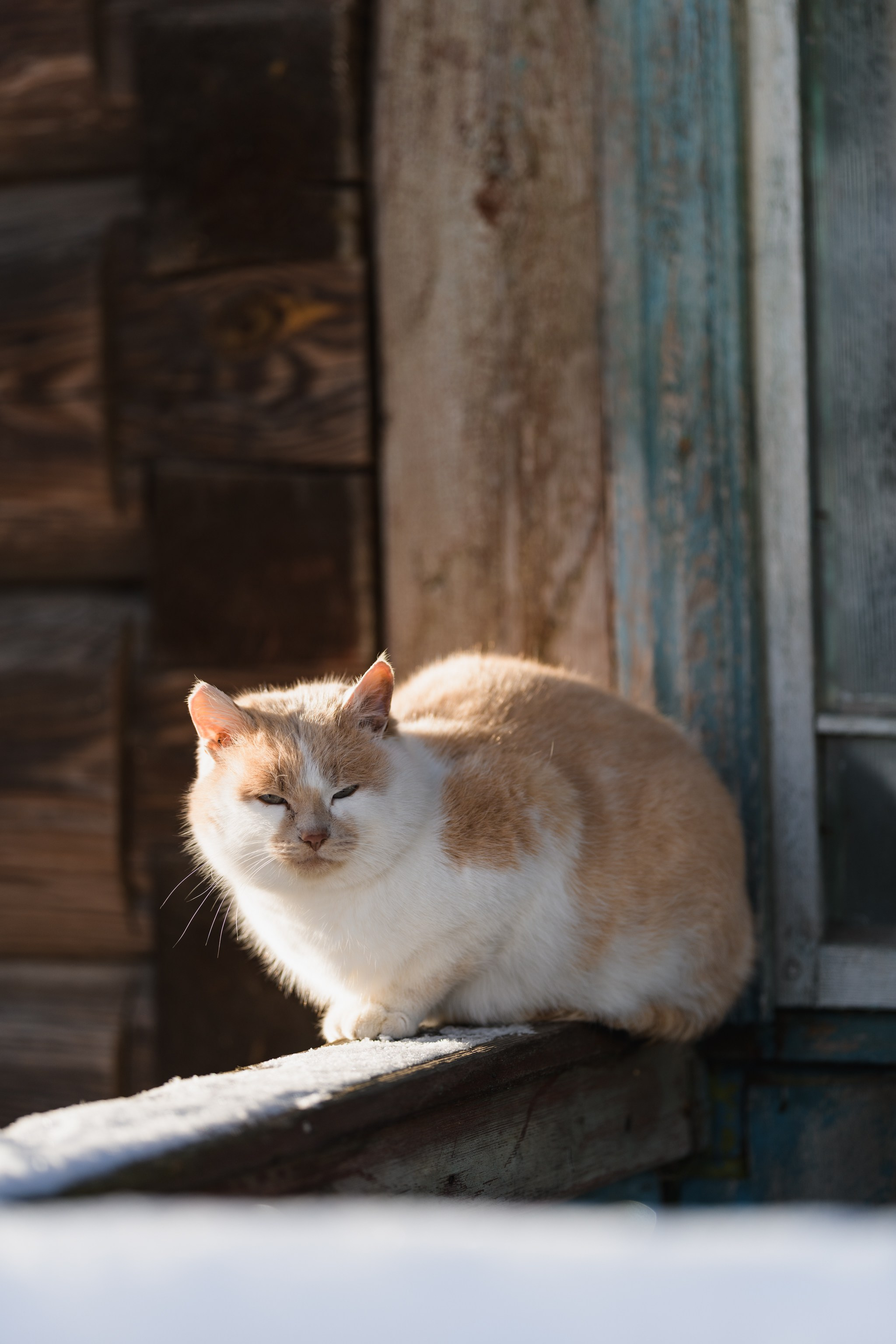 Репортажный фотограф Владимир Беляй