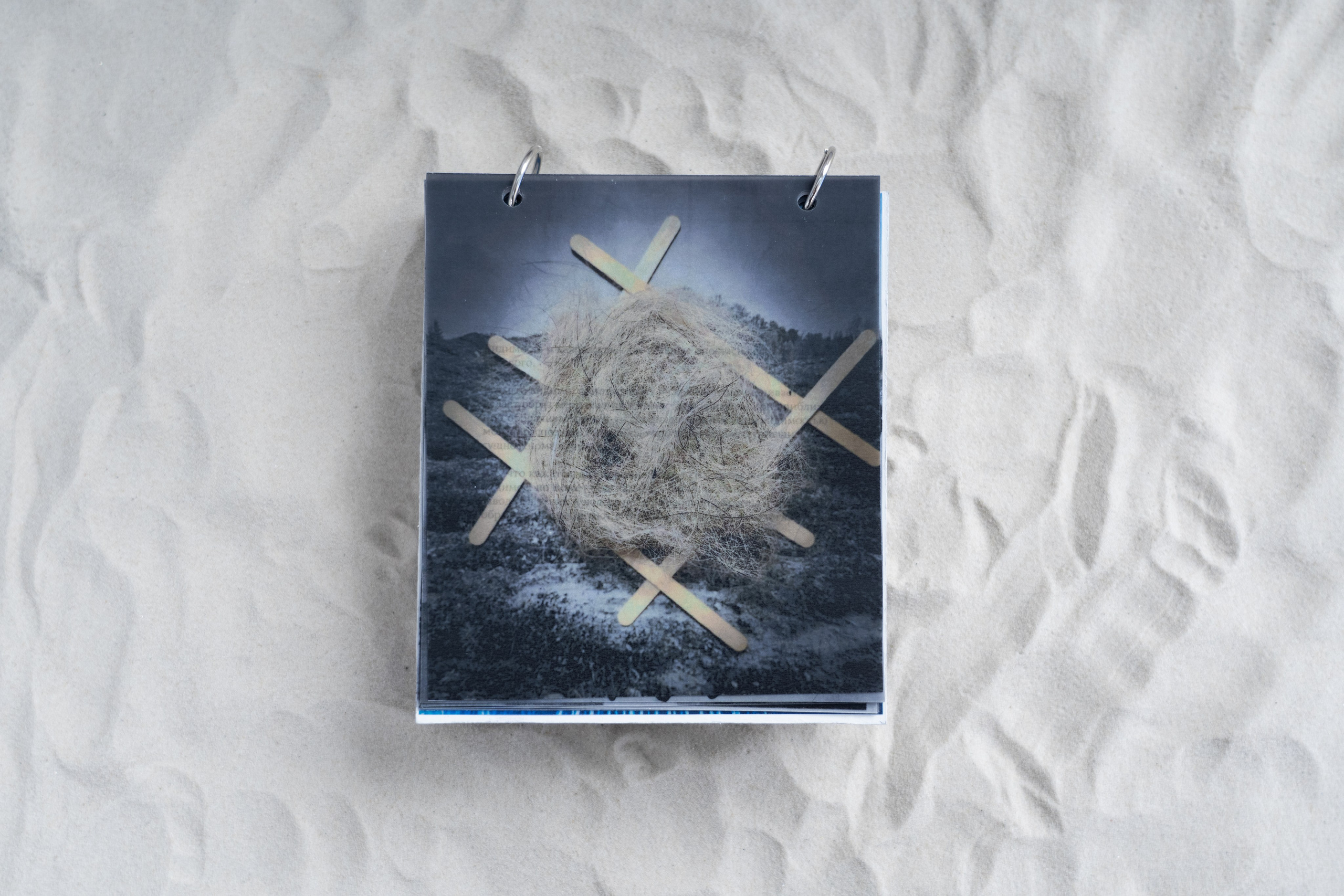 Укрытие. Катрин Эдельвак