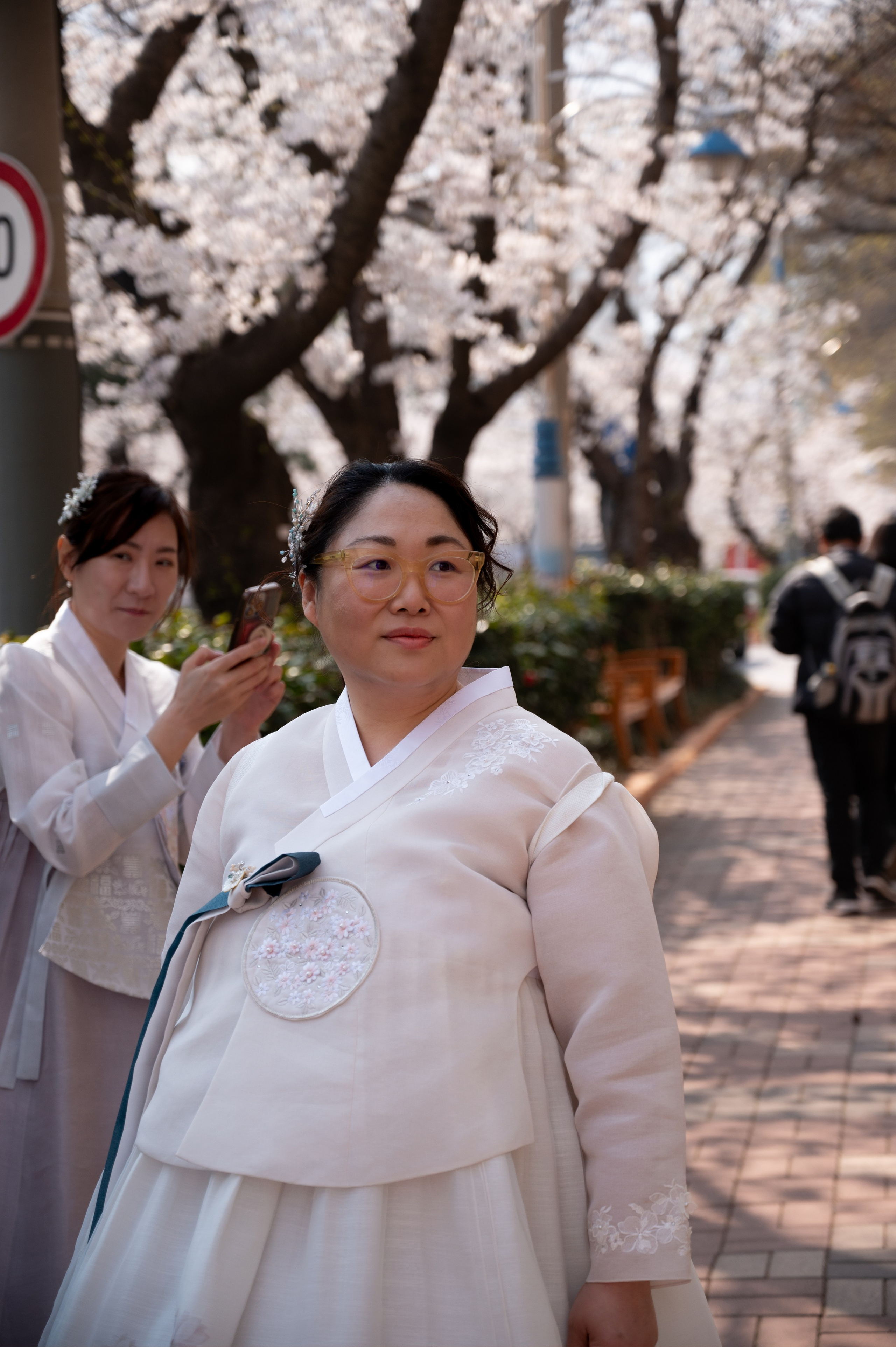 Korean hanbok photoshoot during cherry blossom season Busan