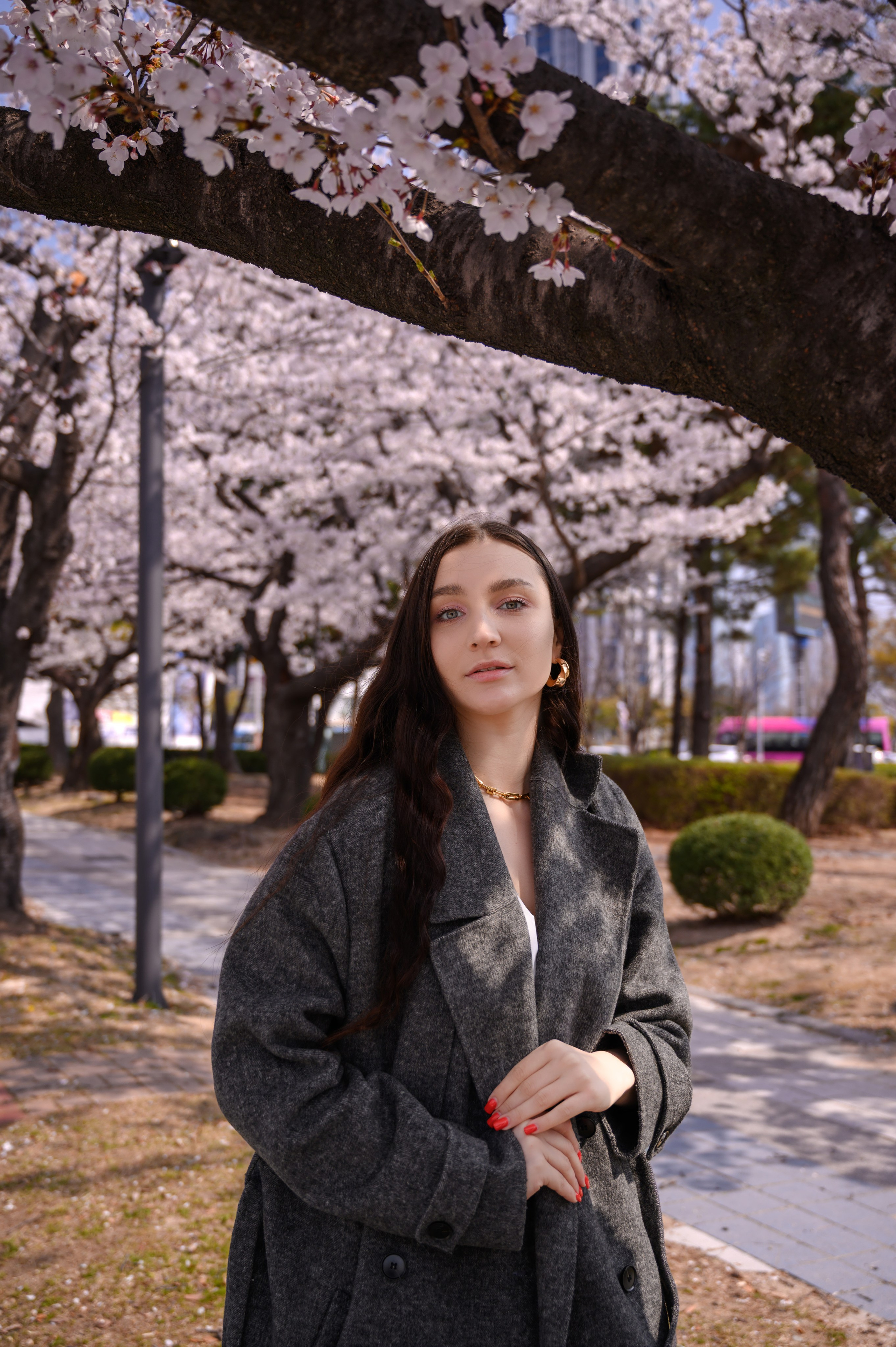 Cherry blossom photoshoot at Dalmaji Hill Haeundae Busan