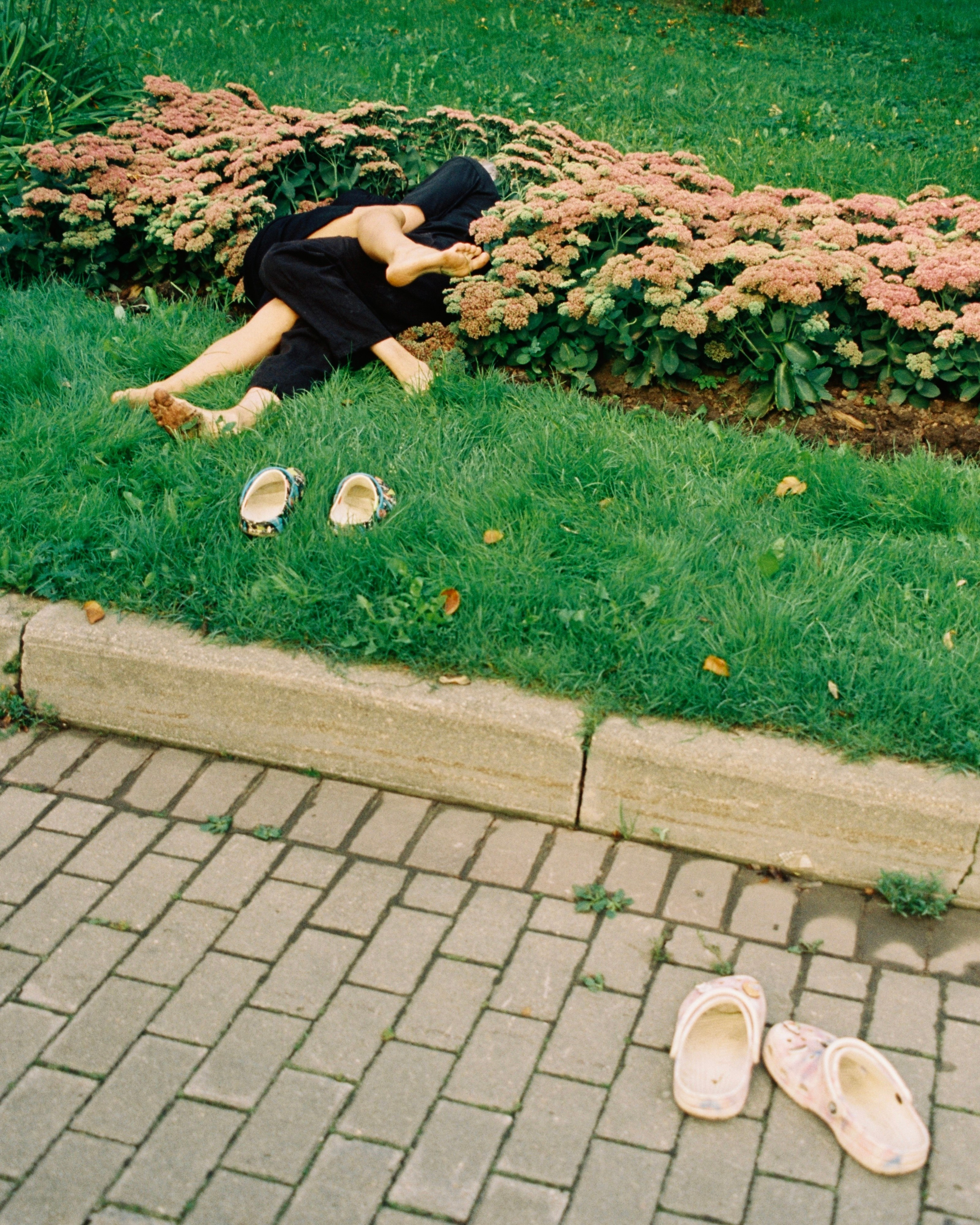 Док портрет