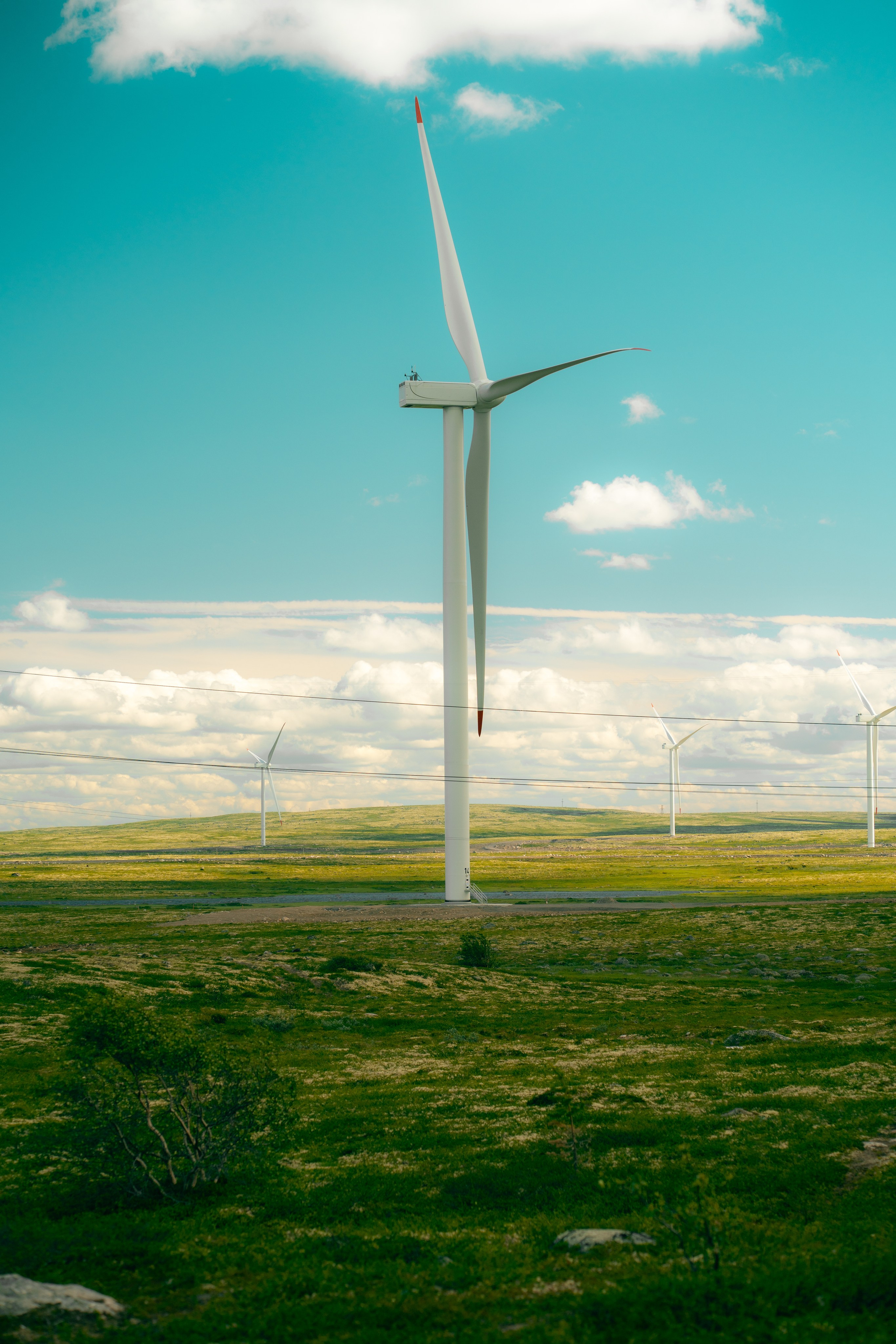 Постеры. Roycoreroy