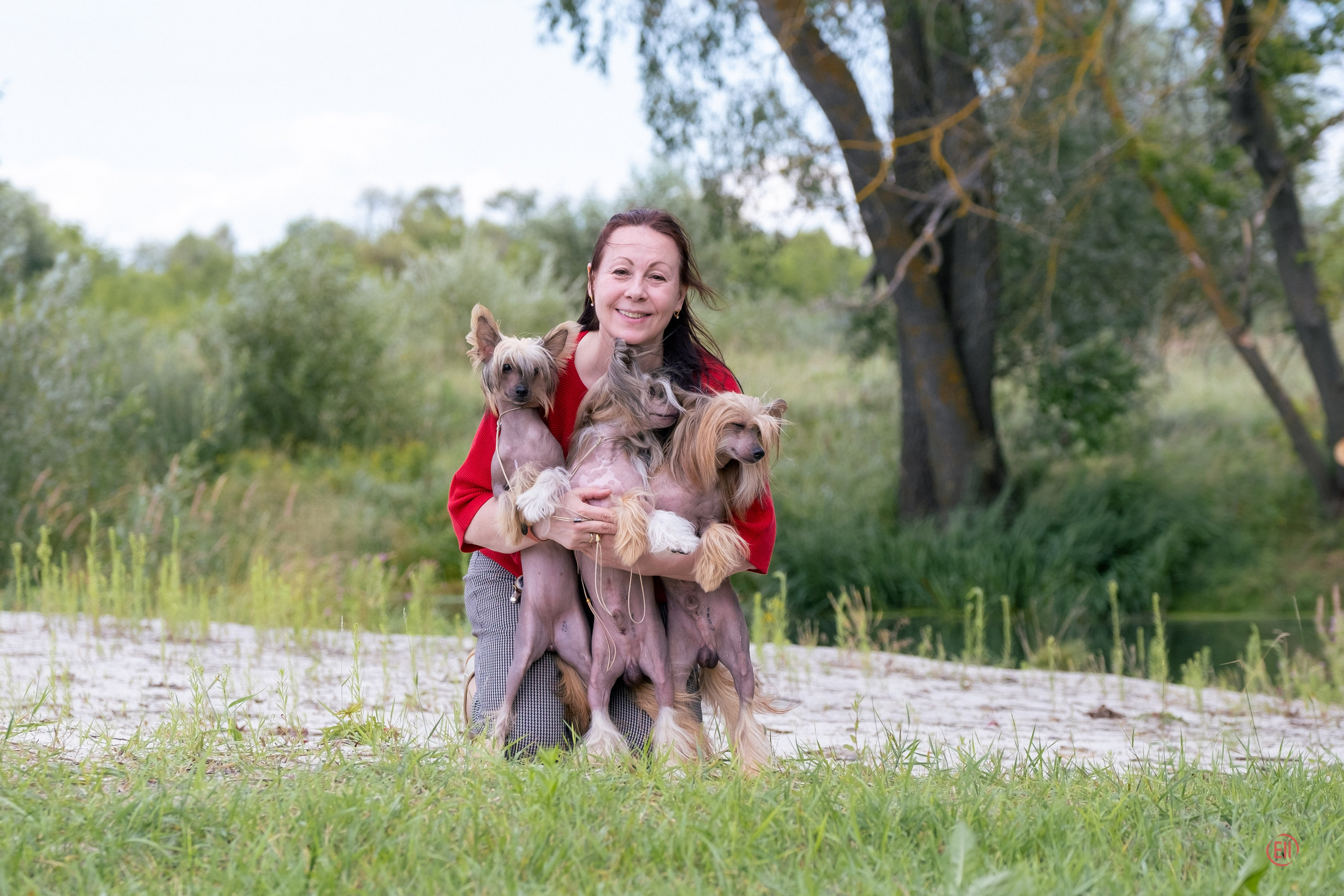Липецк. Выставка собак. Питомник китайских хохлатых собак Poale Ell: купить щенка