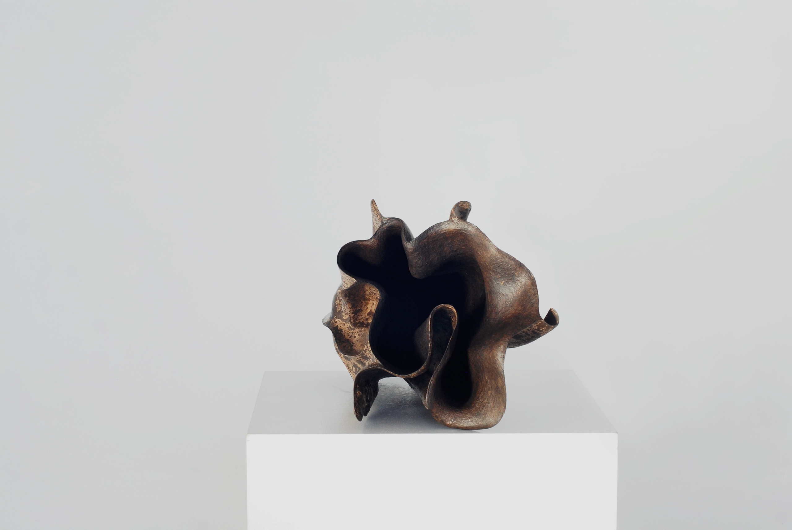 Эволюция духа 3. ЕЛЕНА МЕШКОВА мультидисциплинарный художник