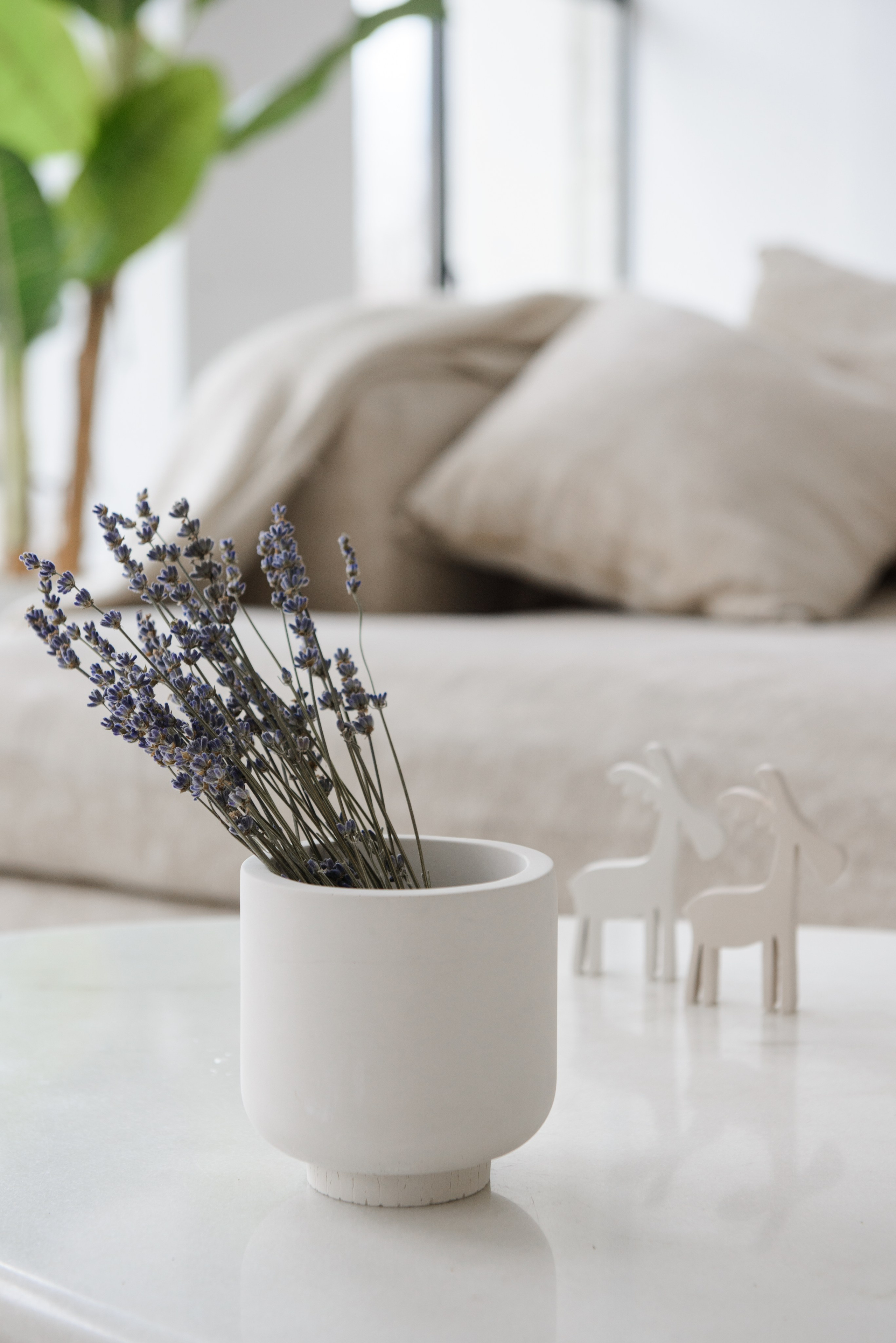 Product photography. Elena Carruthers family photographer in Scotland (Edinburgh, Glasgow)