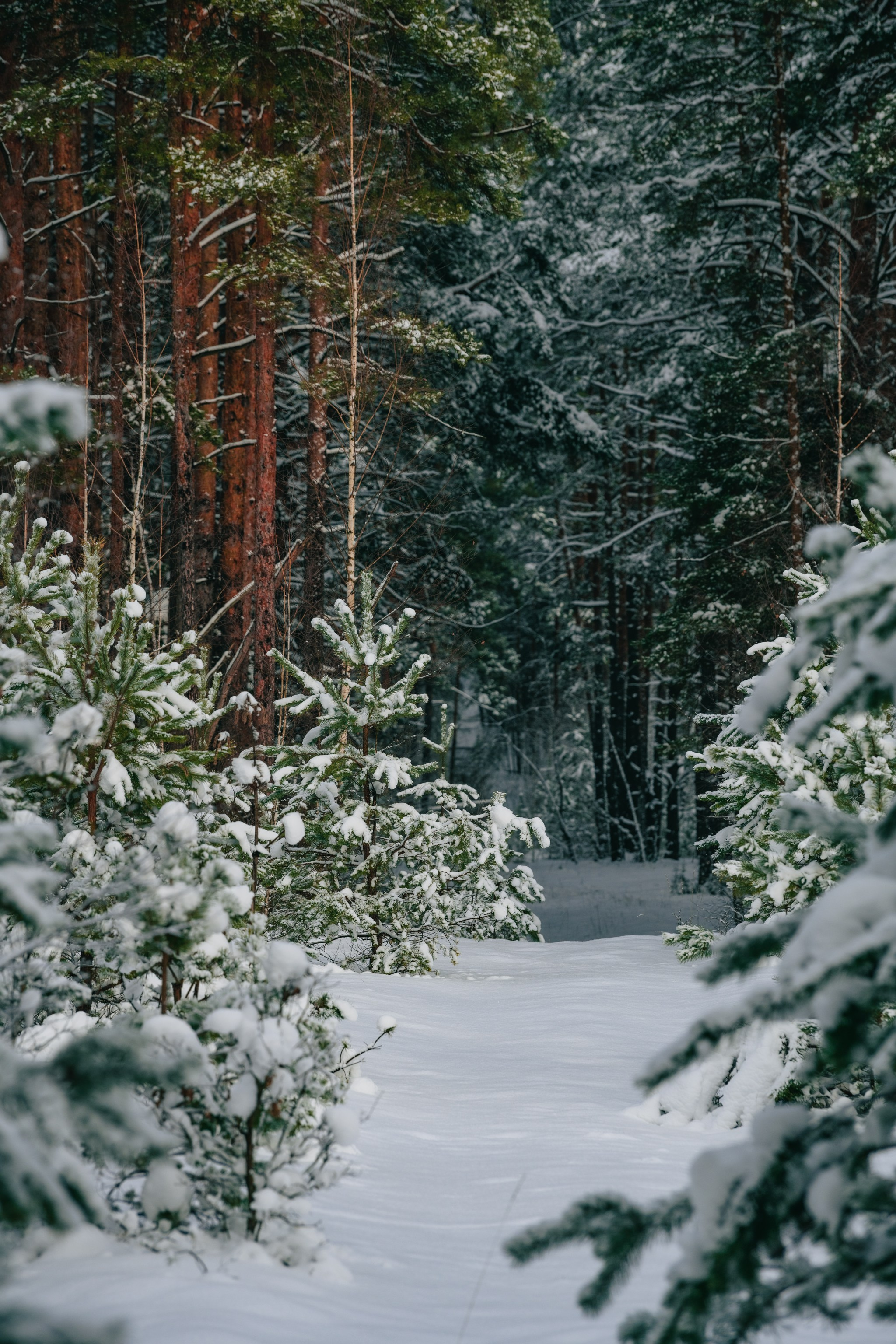Репортажный фотограф Владимир Беляй