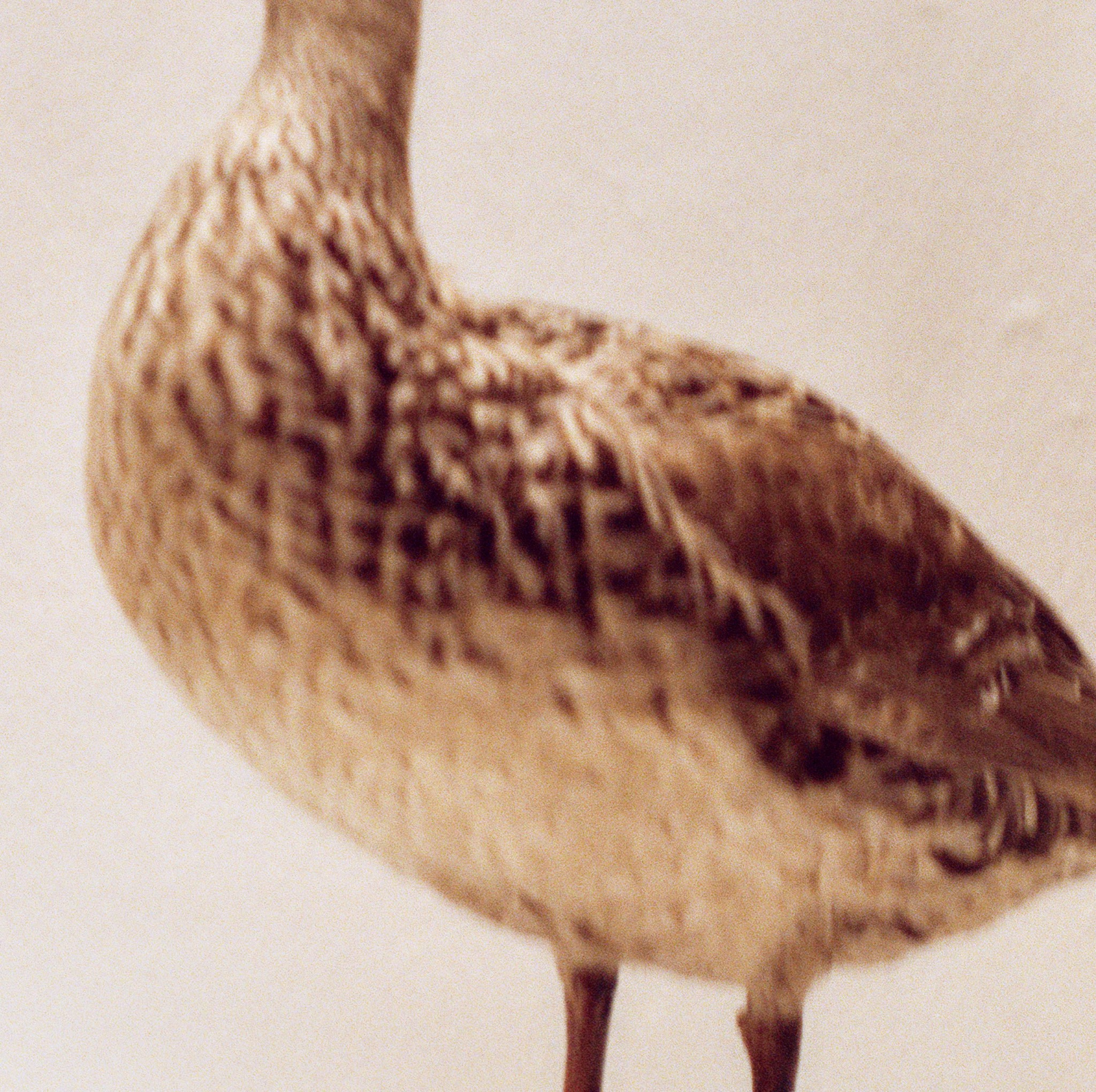 Пьюти-фьют. Игорь Скабелин