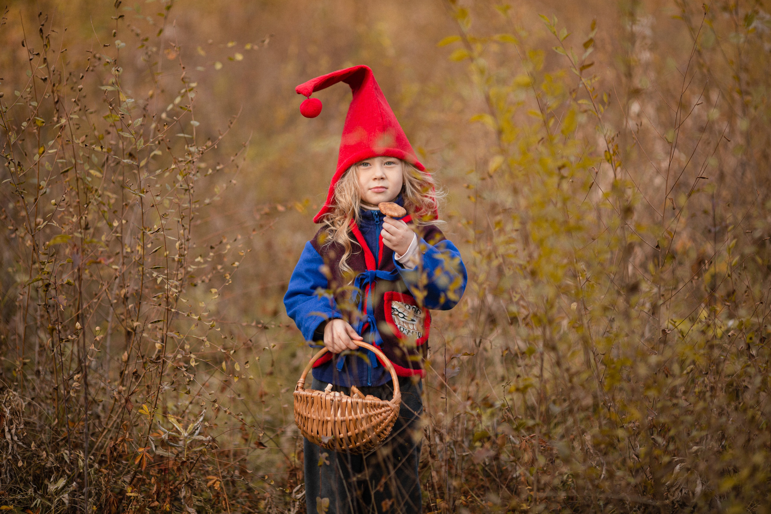 Лесные гномы