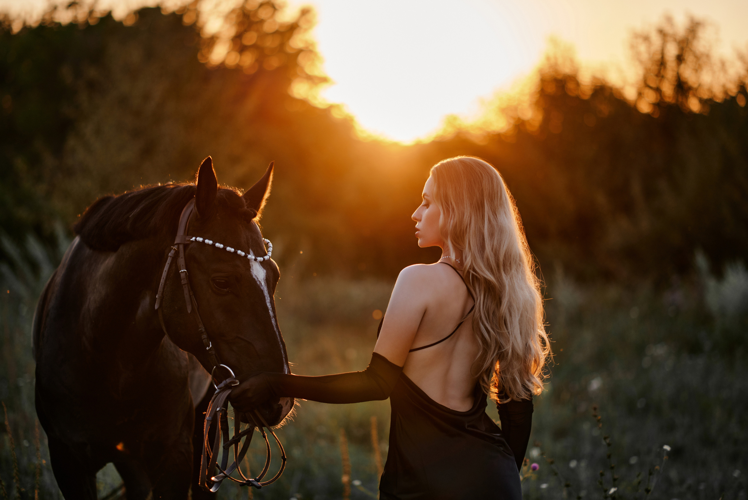 Обо мне. Equestrian photos