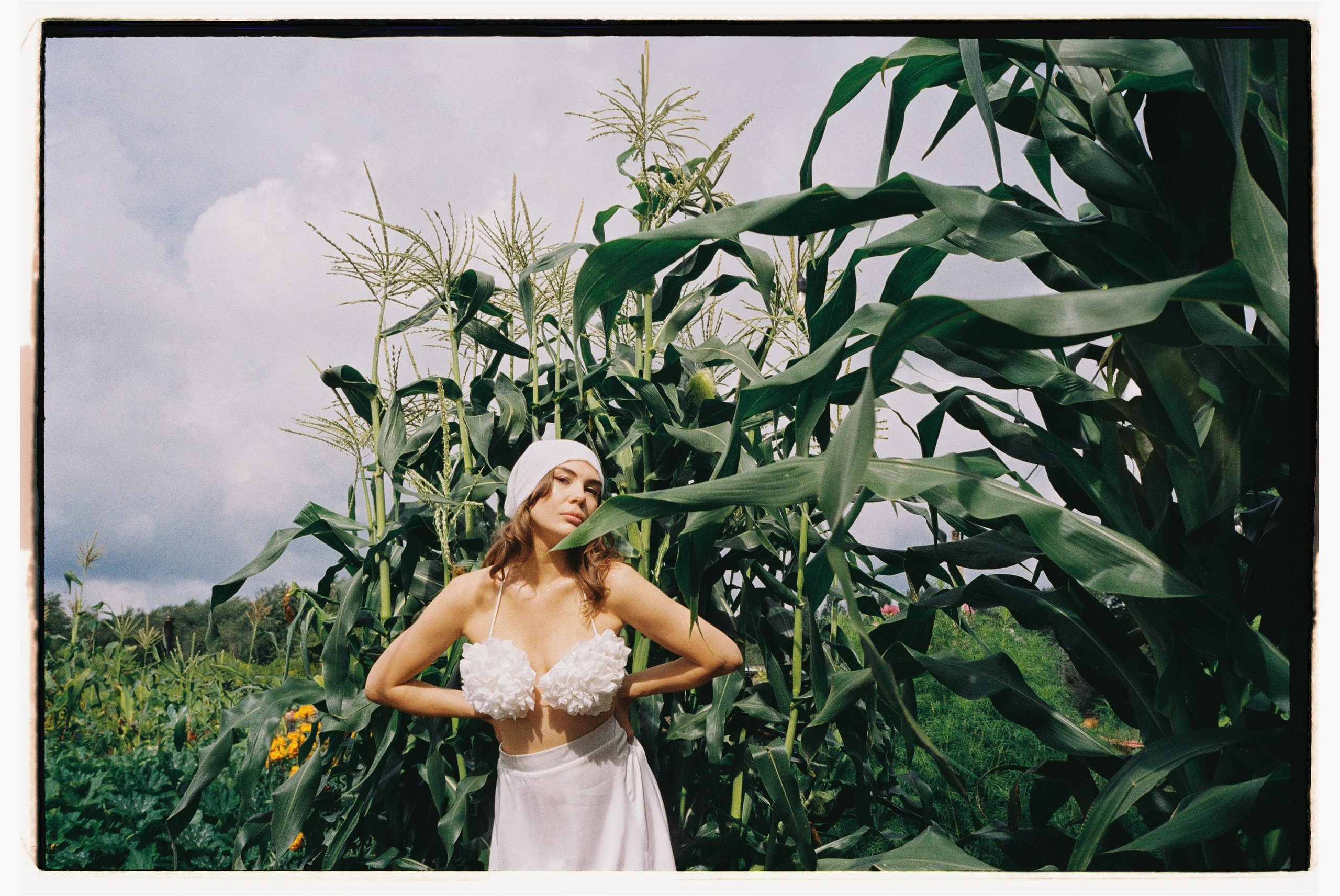 Стоимость. Свадебный фотограф Алина Ампер