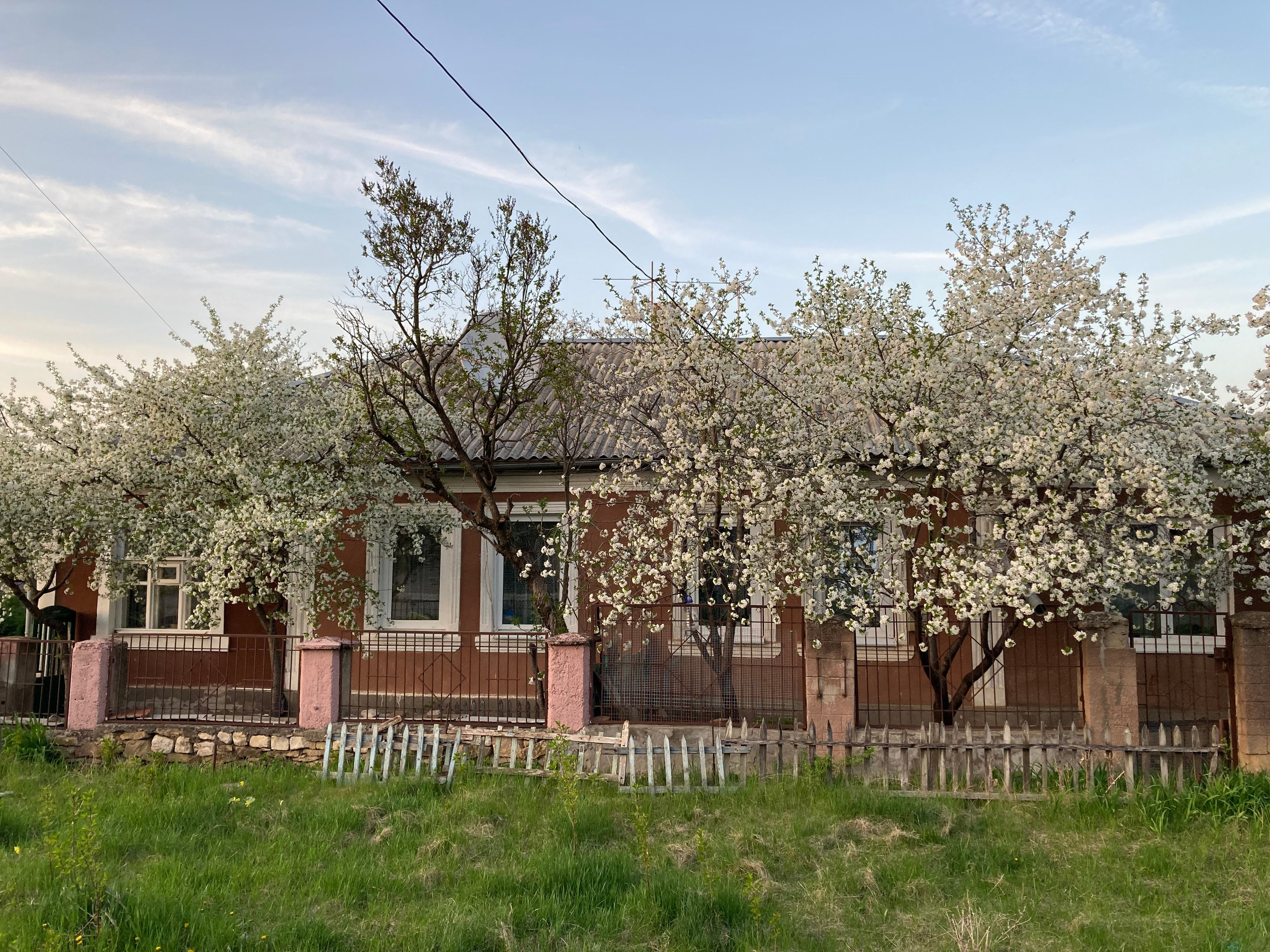 Кисловодск. Смотри, красота!