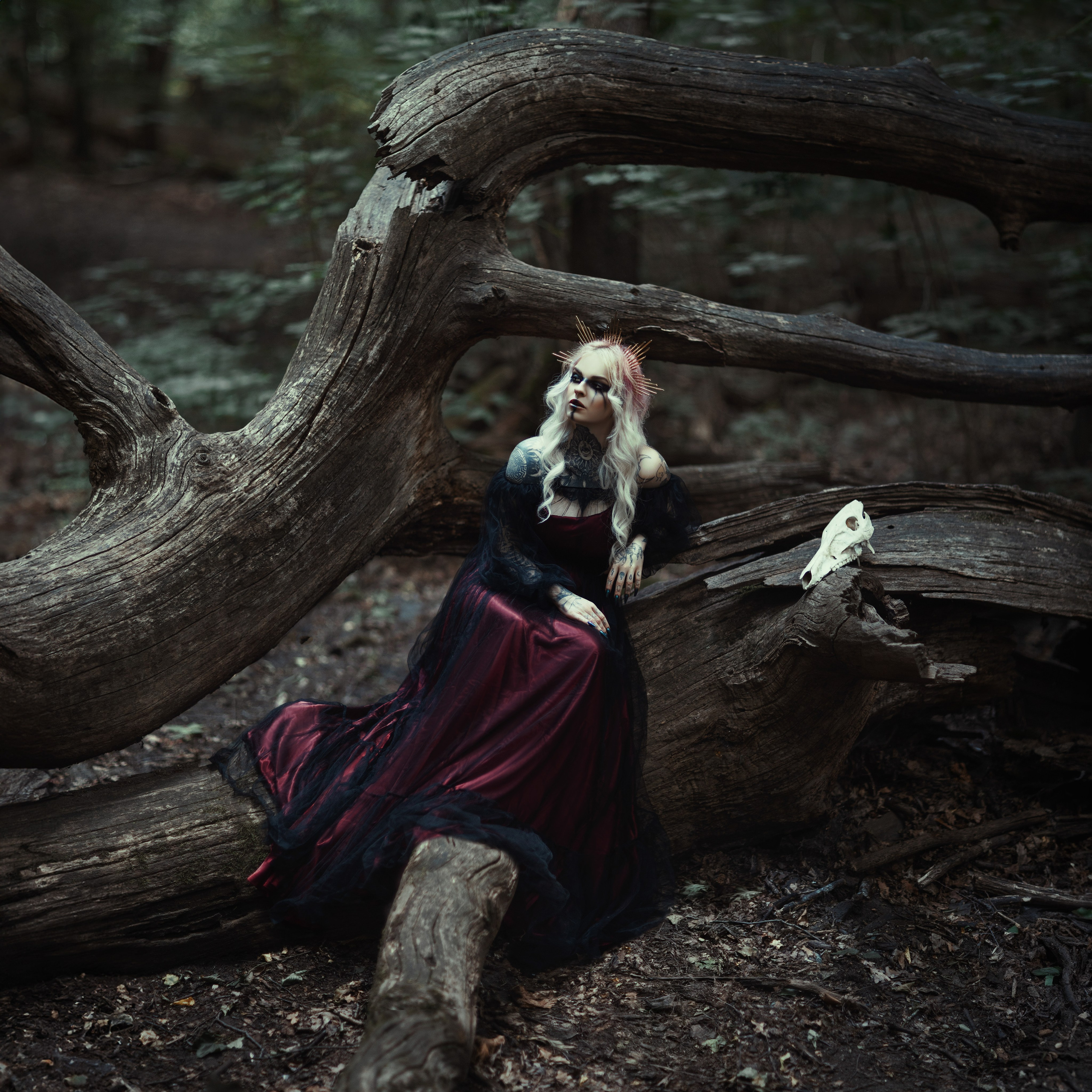 Sesja Artystyczna. Art photographer Katerina Klio