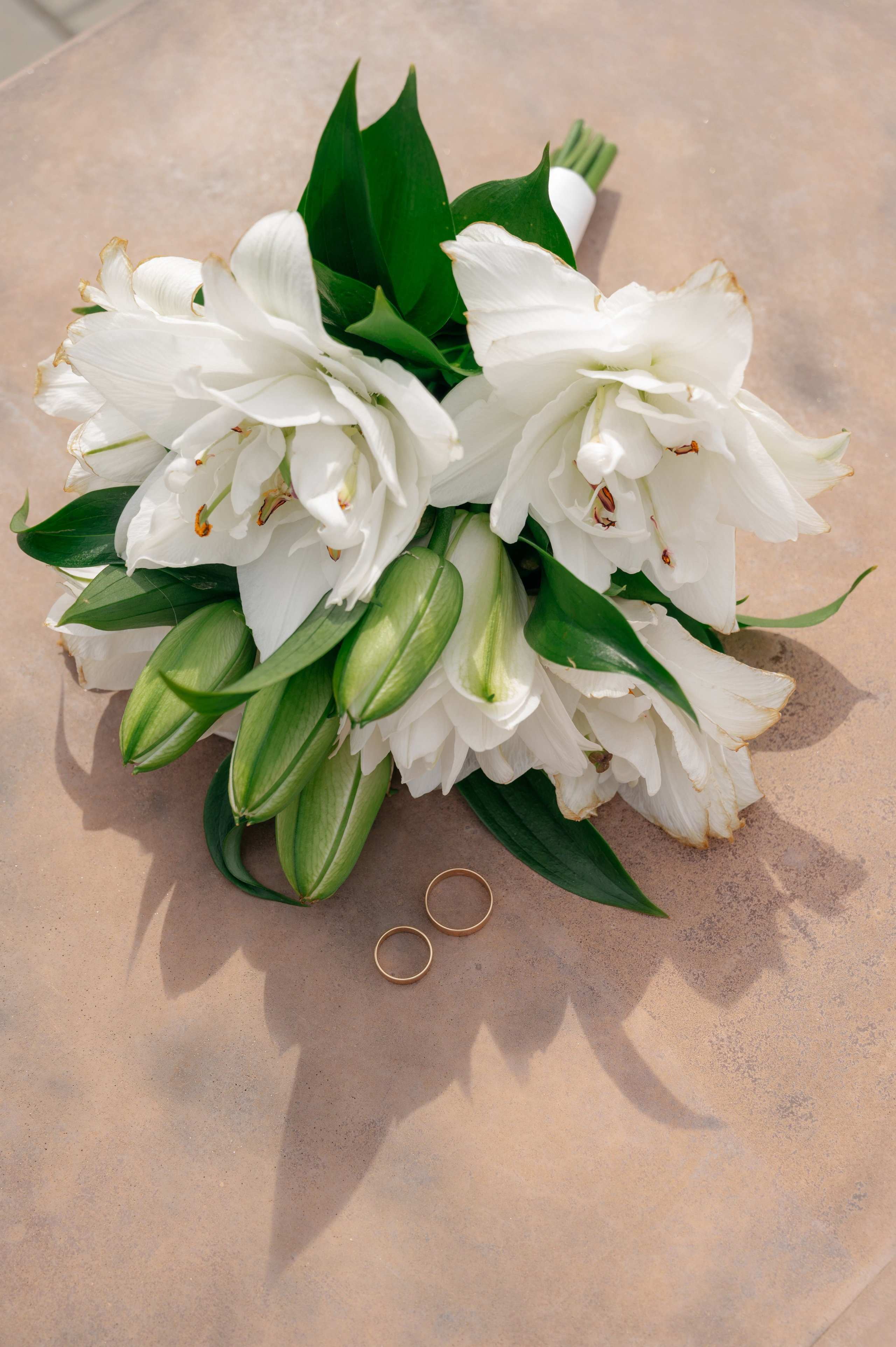 Фотограф Мария Строгонова