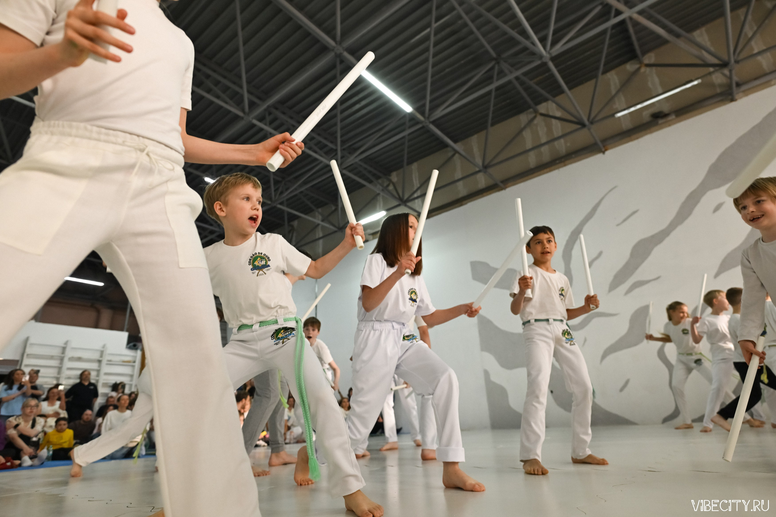 Capoeira: 4-е batizado e Troca de cordao. VIBECITY.RU Вайб Сити Ру Фоторепортажи Фотоотчеты Калининград