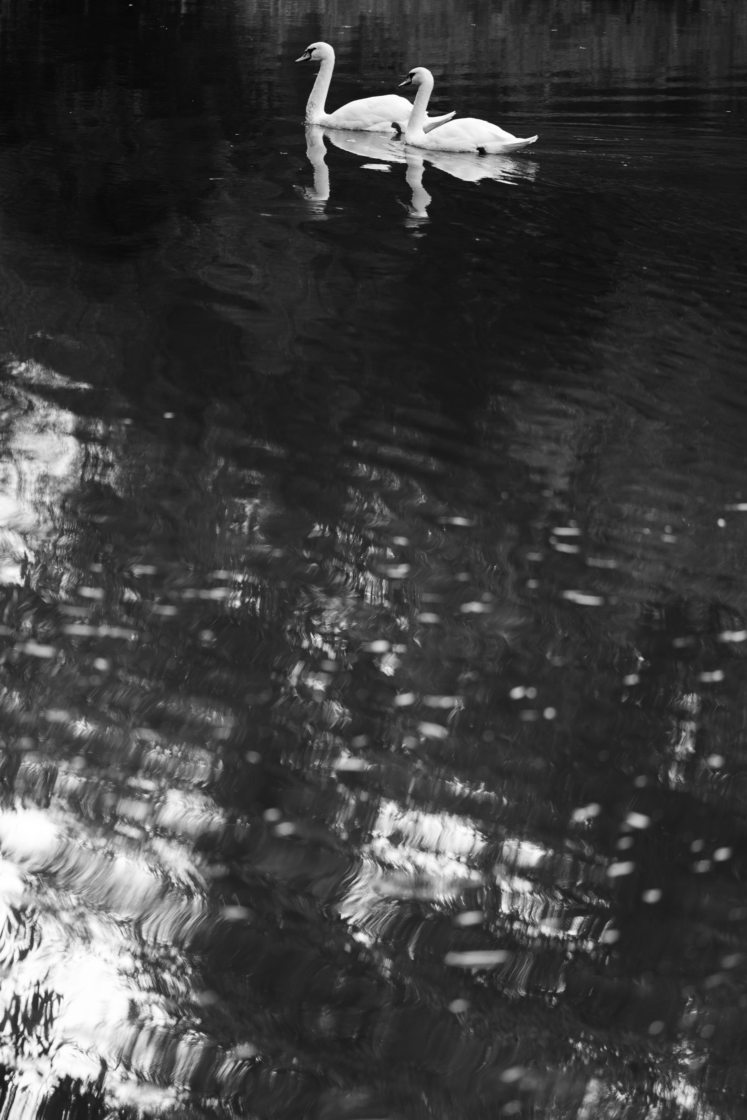 Свадебный фотограф Воронеж Москва СПБ