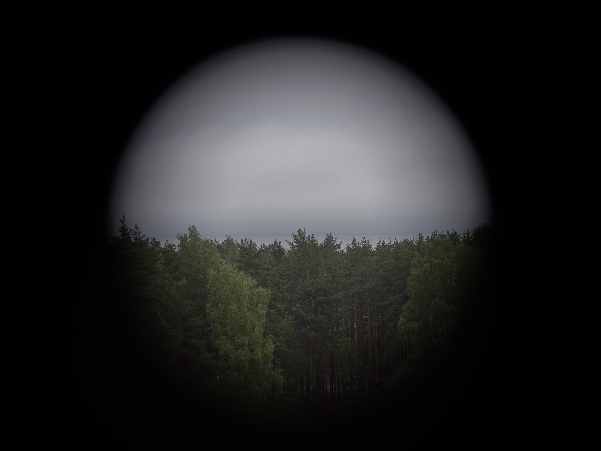 Смерть-гора (2025 — наст.вр). Главная