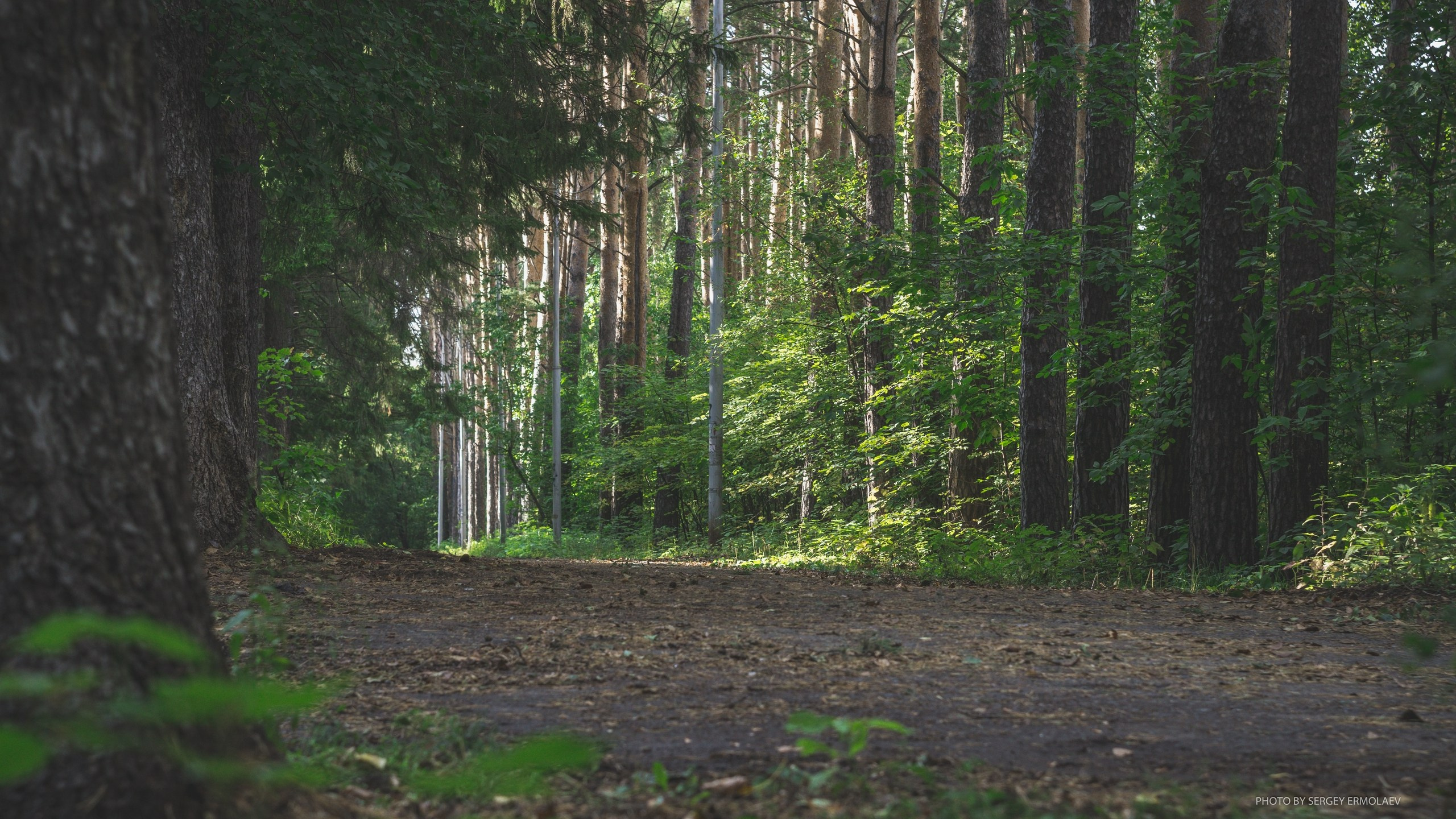 На тропах старинного парка