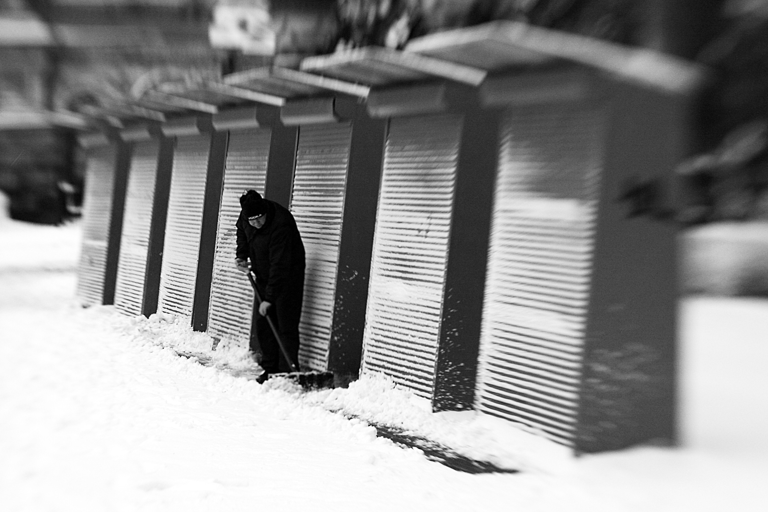 Курс «Стрит фотография»