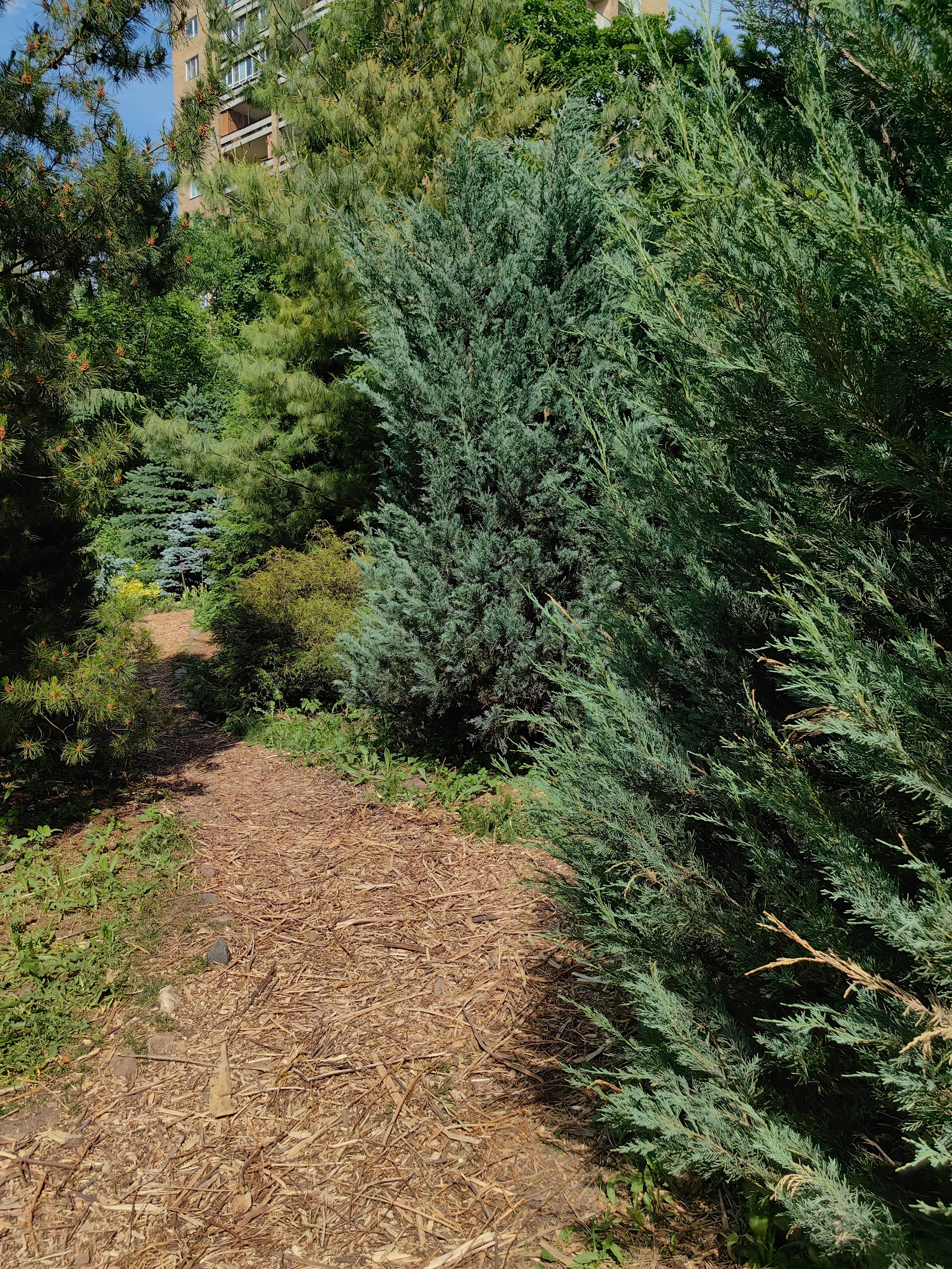 Парк АПТЕКАРСКИЙ ОГОРОД обзор. Фотограф в Москве и Московской области (Ю-В) Олеся Макарова