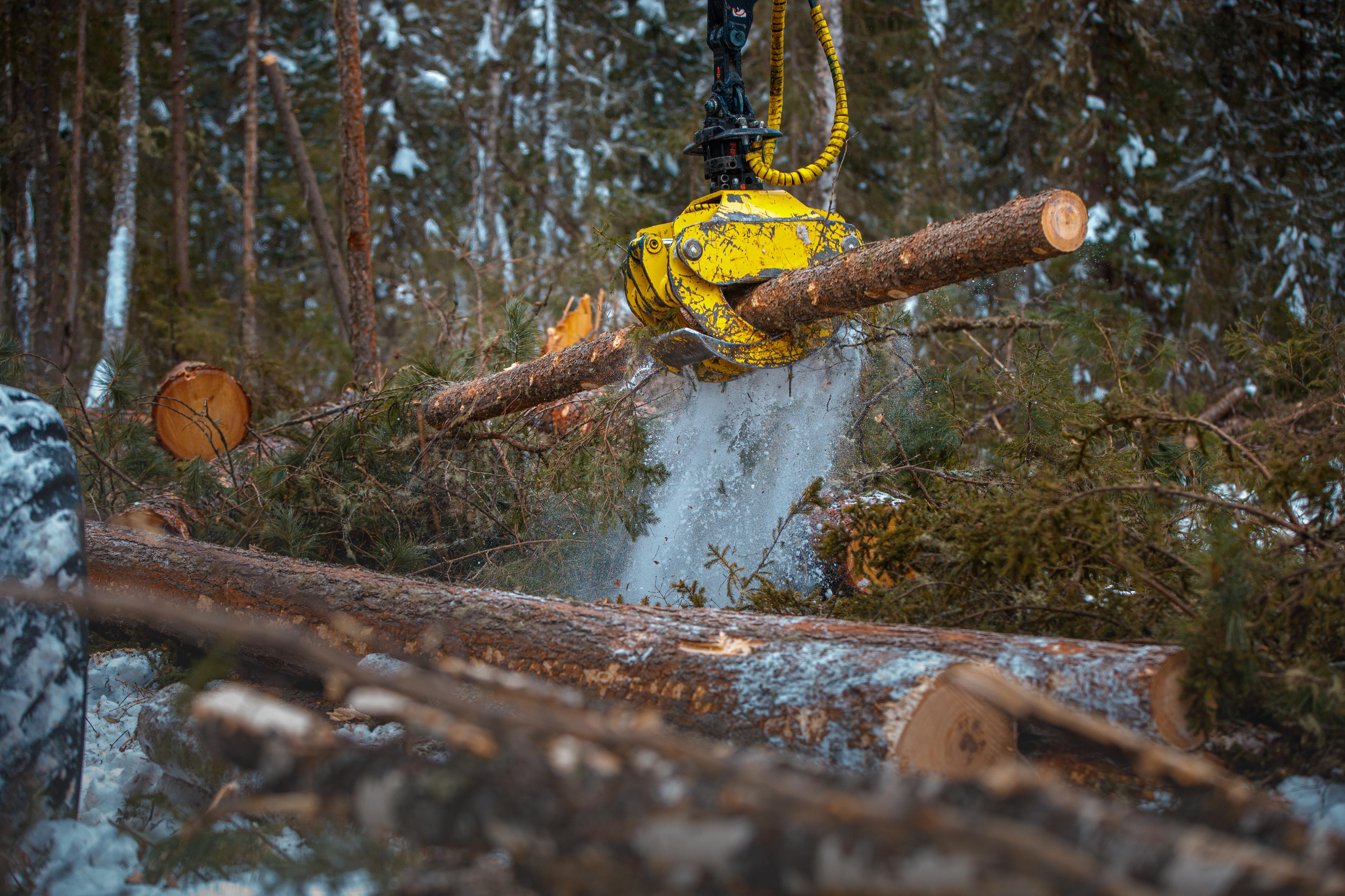 Репортаж. Студийная съёмка. Имиджевая съёмка. Бизнес портреты. ГРАНДФОТО.РФ